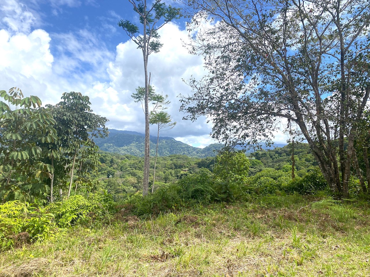 0 bed Land For Sale in Ojochal, Puntarenas - thumb 9
