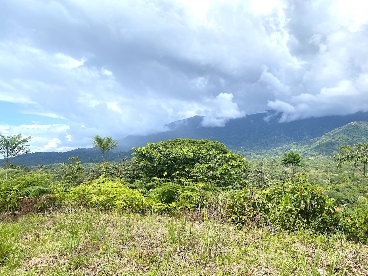 0 bed Land For Sale in Ojochal, Puntarenas - thumb 7