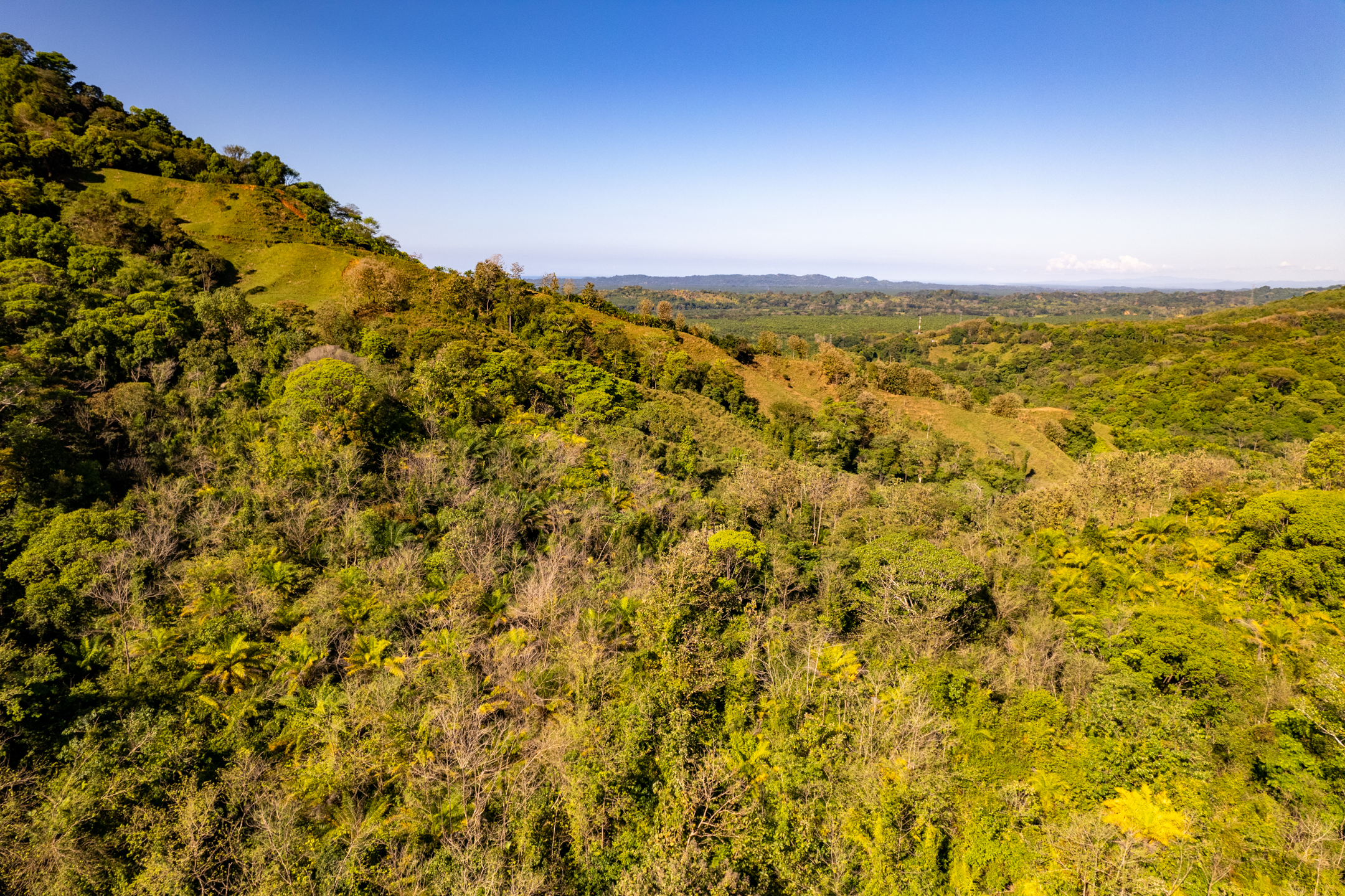 0 bed Land For Sale in Dominical, Puntarenas - thumb 25