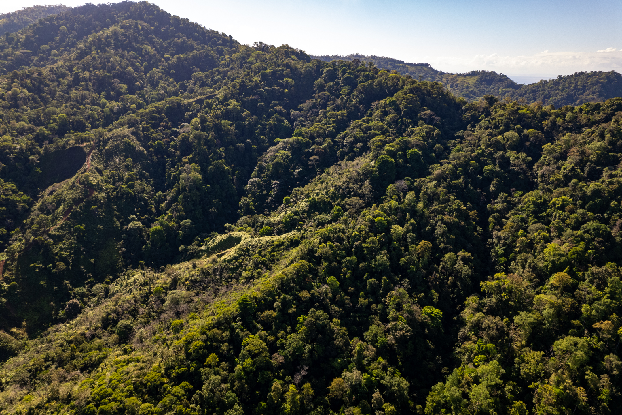 0 bed Land For Sale in Dominical, Puntarenas - thumb 20