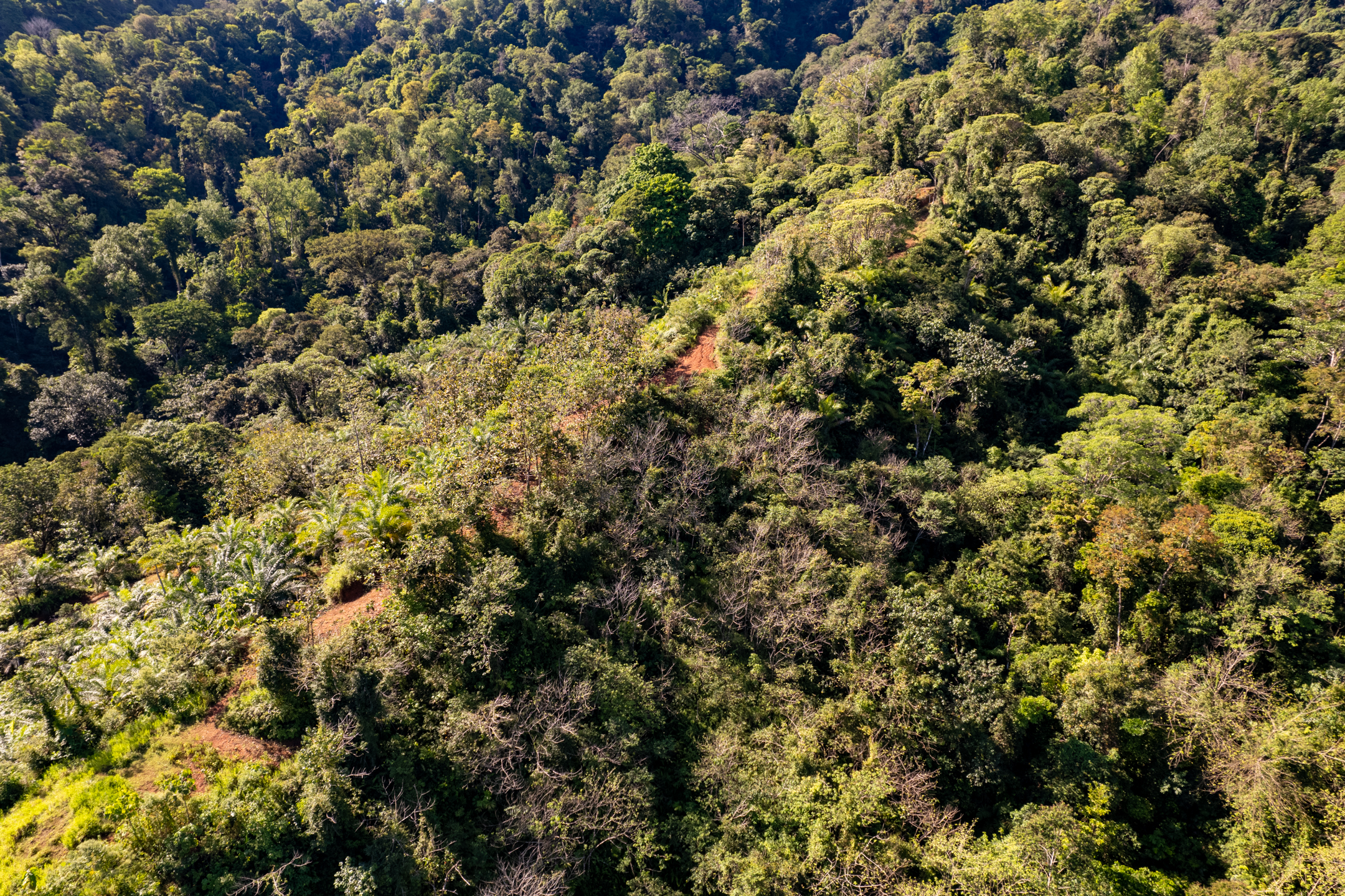 0 bed Land For Sale in Dominical, Puntarenas - thumb 9