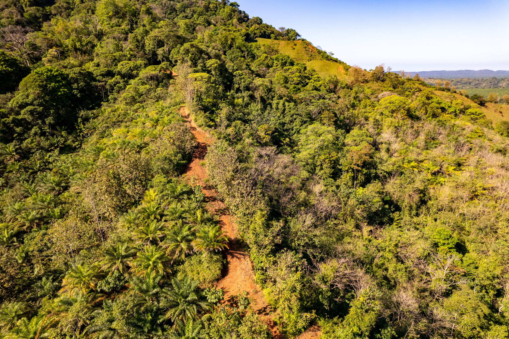 0 bed Land For Sale in Dominical, Puntarenas - thumb 2