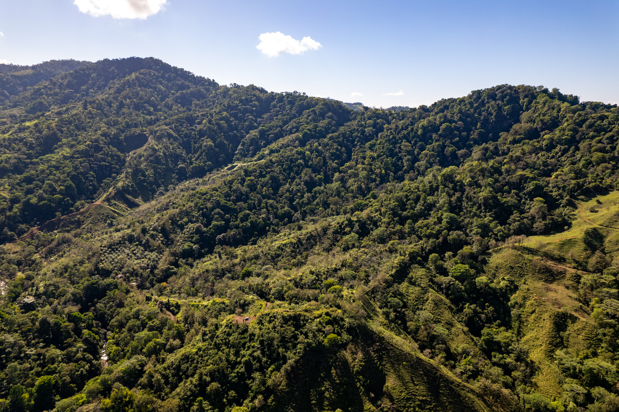 0 bed Land For Sale in Dominical, Puntarenas - thumb 26