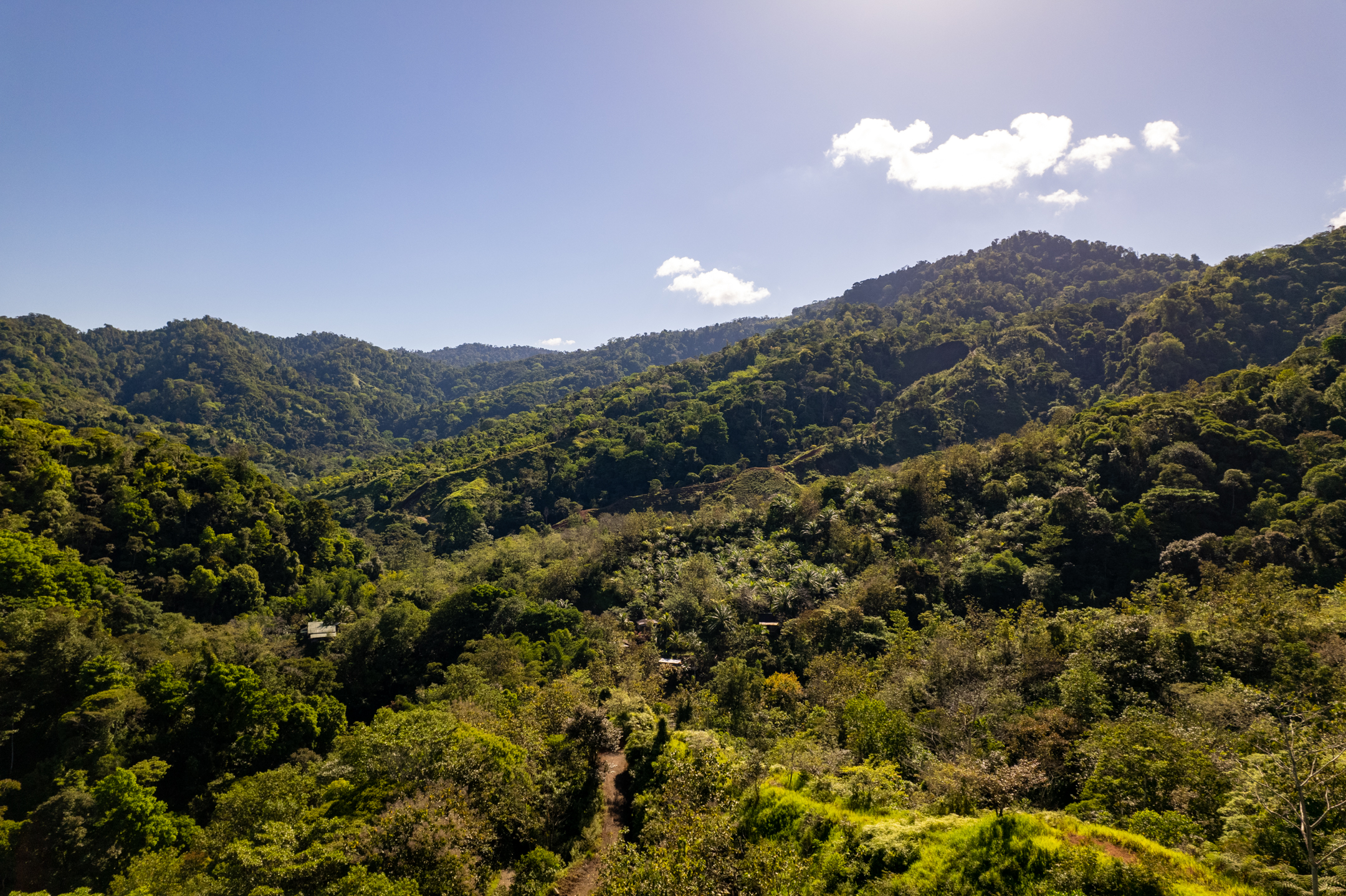 0 bed Land For Sale in Dominical, Puntarenas - thumb 7