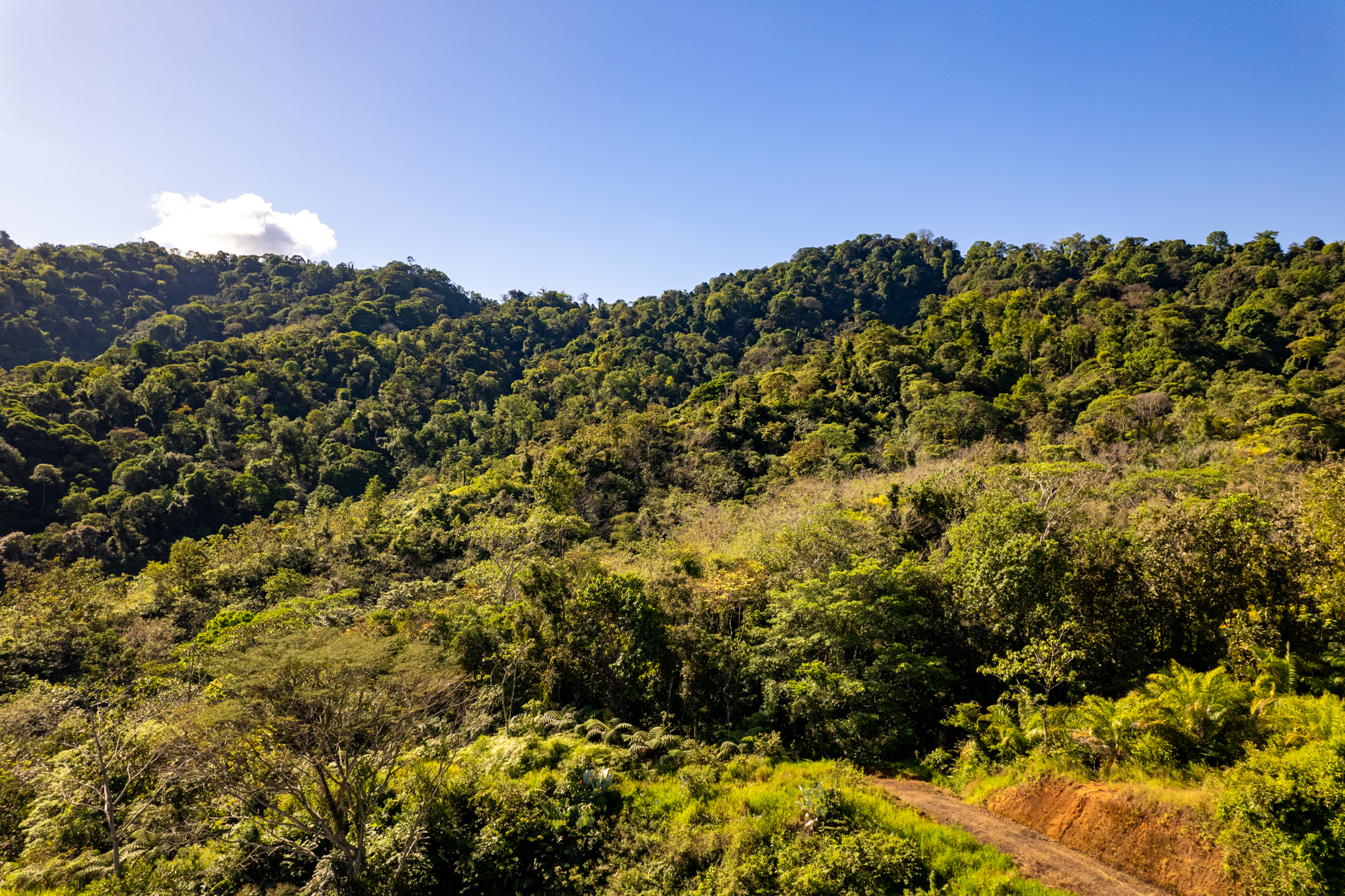 0 bed Land For Sale in Dominical, Puntarenas - thumb 24