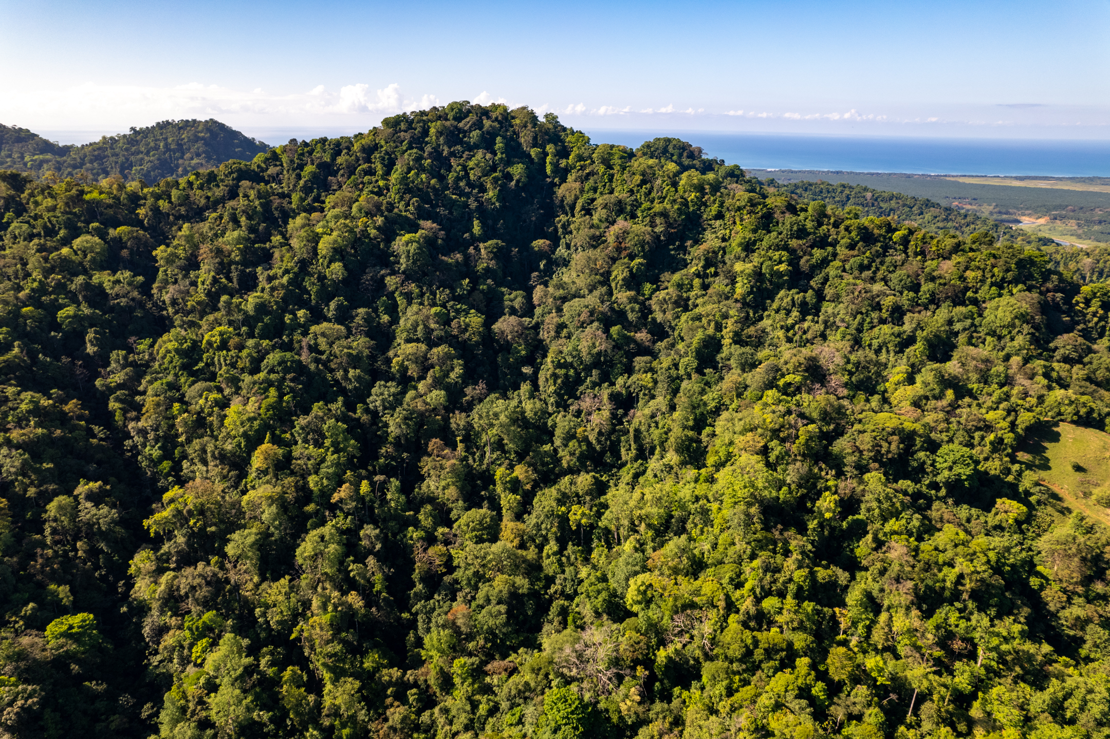 0 bed Land For Sale in Dominical, Puntarenas - thumb 21