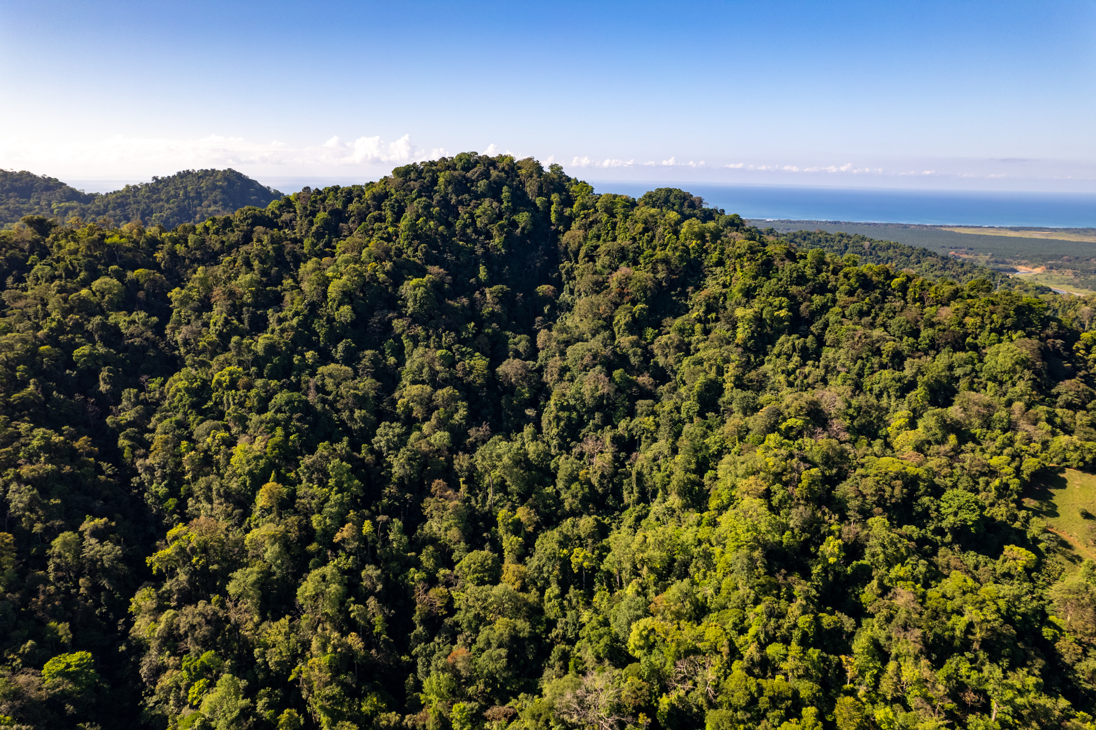 0 bed Land For Sale in Dominical, Puntarenas - thumb 16