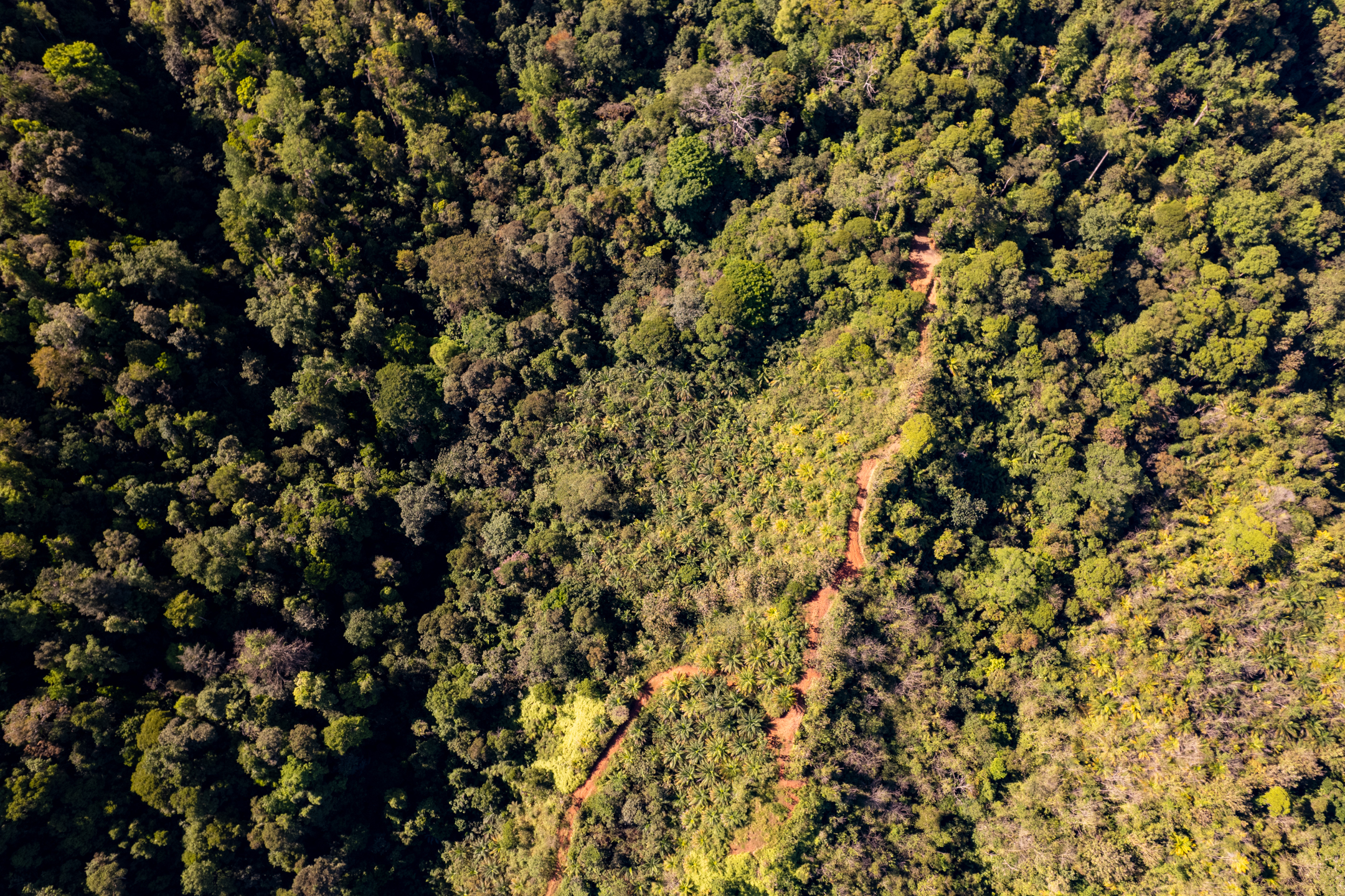 0 bed Land For Sale in Dominical, Puntarenas - thumb 19