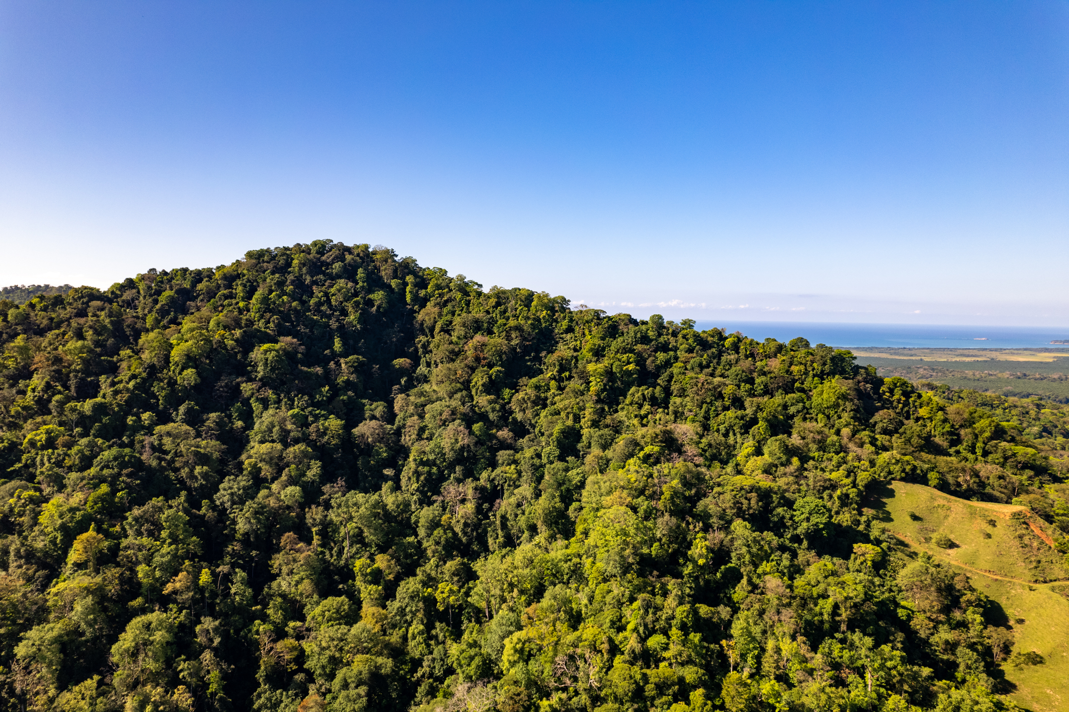 0 bed Land For Sale in Dominical, Puntarenas - thumb 3