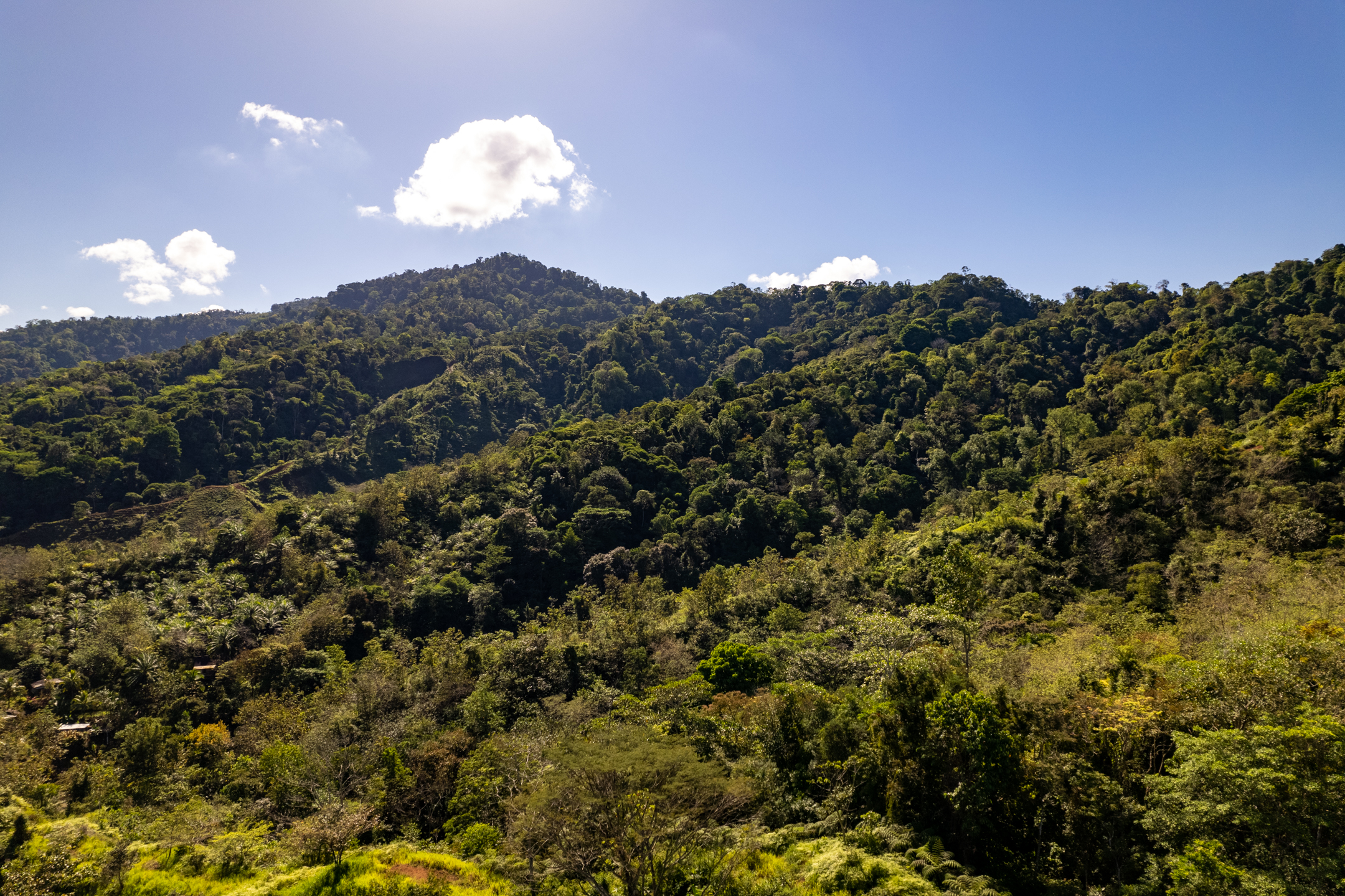 0 bed Land For Sale in Dominical, Puntarenas - thumb 10