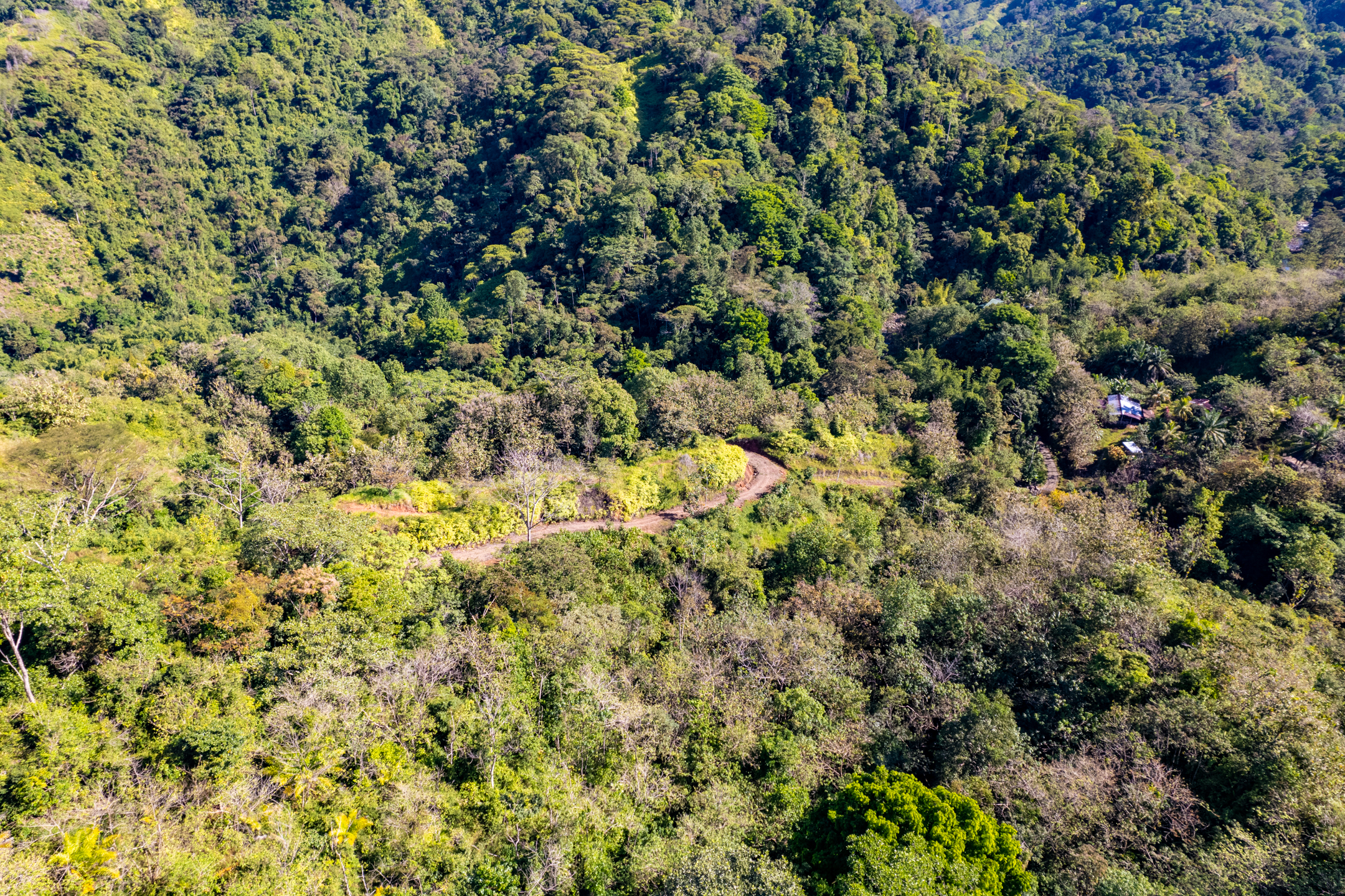 0 bed Land For Sale in Dominical, Puntarenas - thumb 6