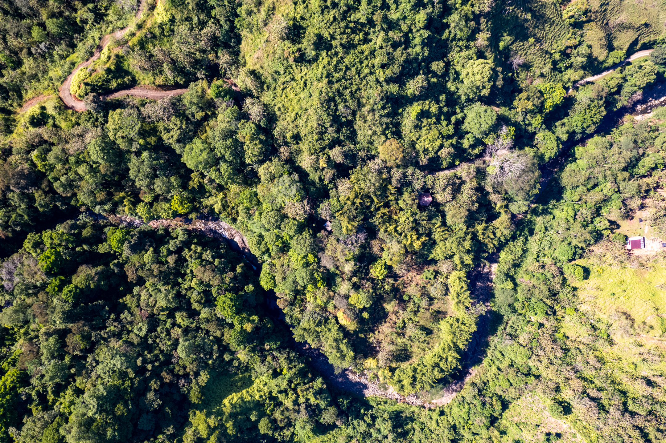 0 bed Land For Sale in Dominical, Puntarenas - thumb 30