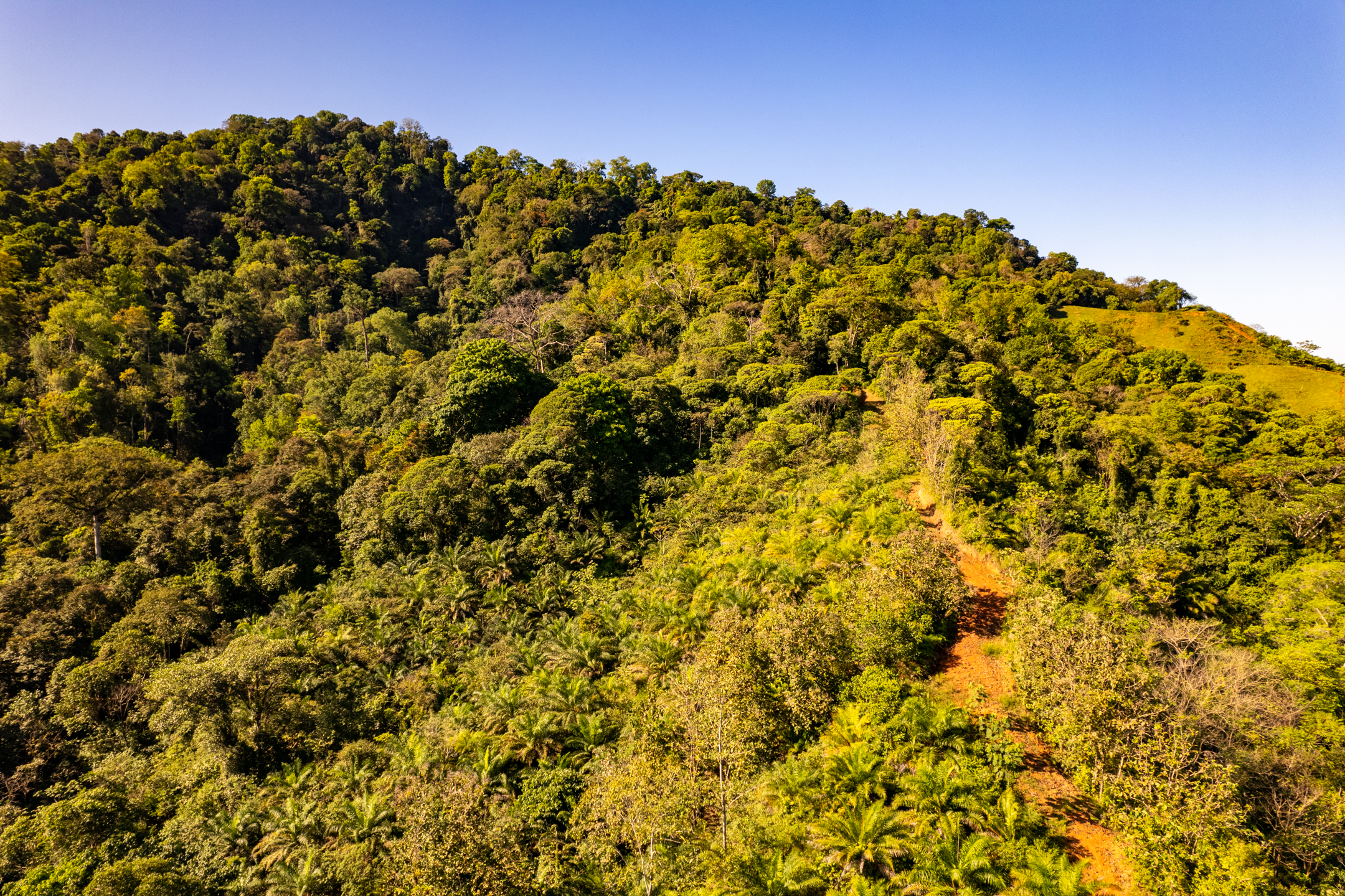 0 bed Land For Sale in Dominical, Puntarenas - thumb 12