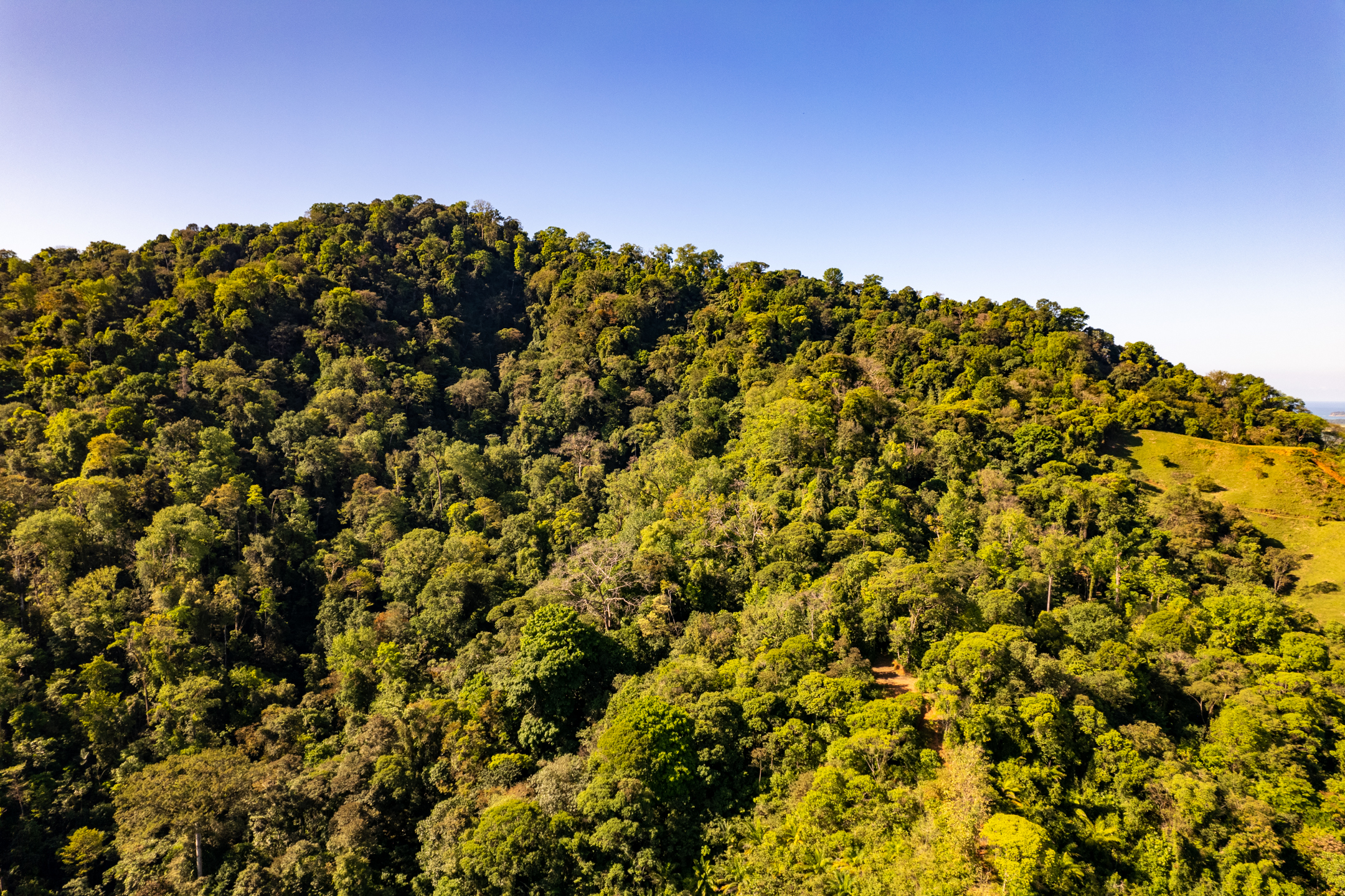 0 bed Land For Sale in Dominical, Puntarenas - thumb 13