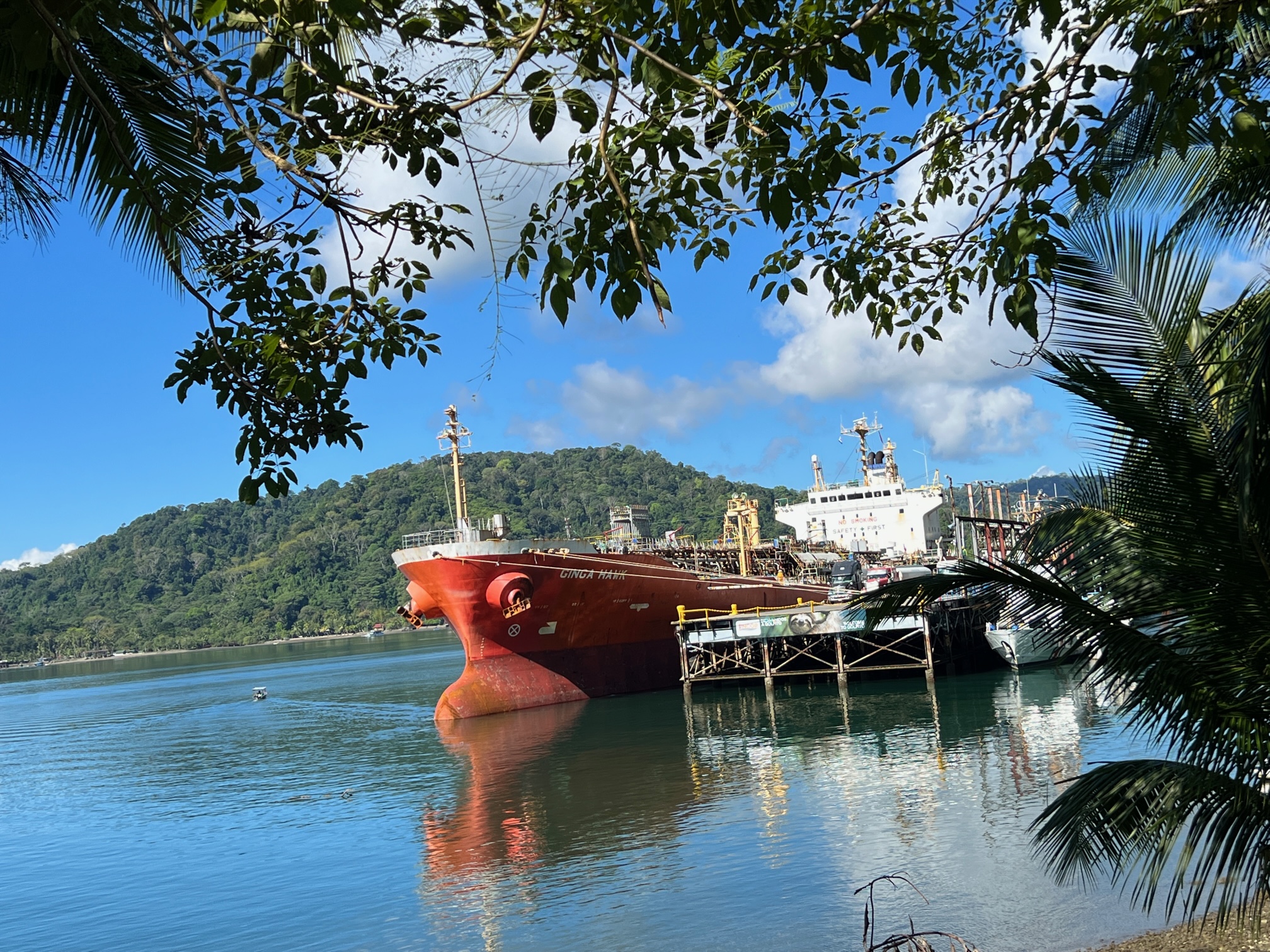 7 bed Commercial For Sale in Golfito, Puntarenas - thumb 6