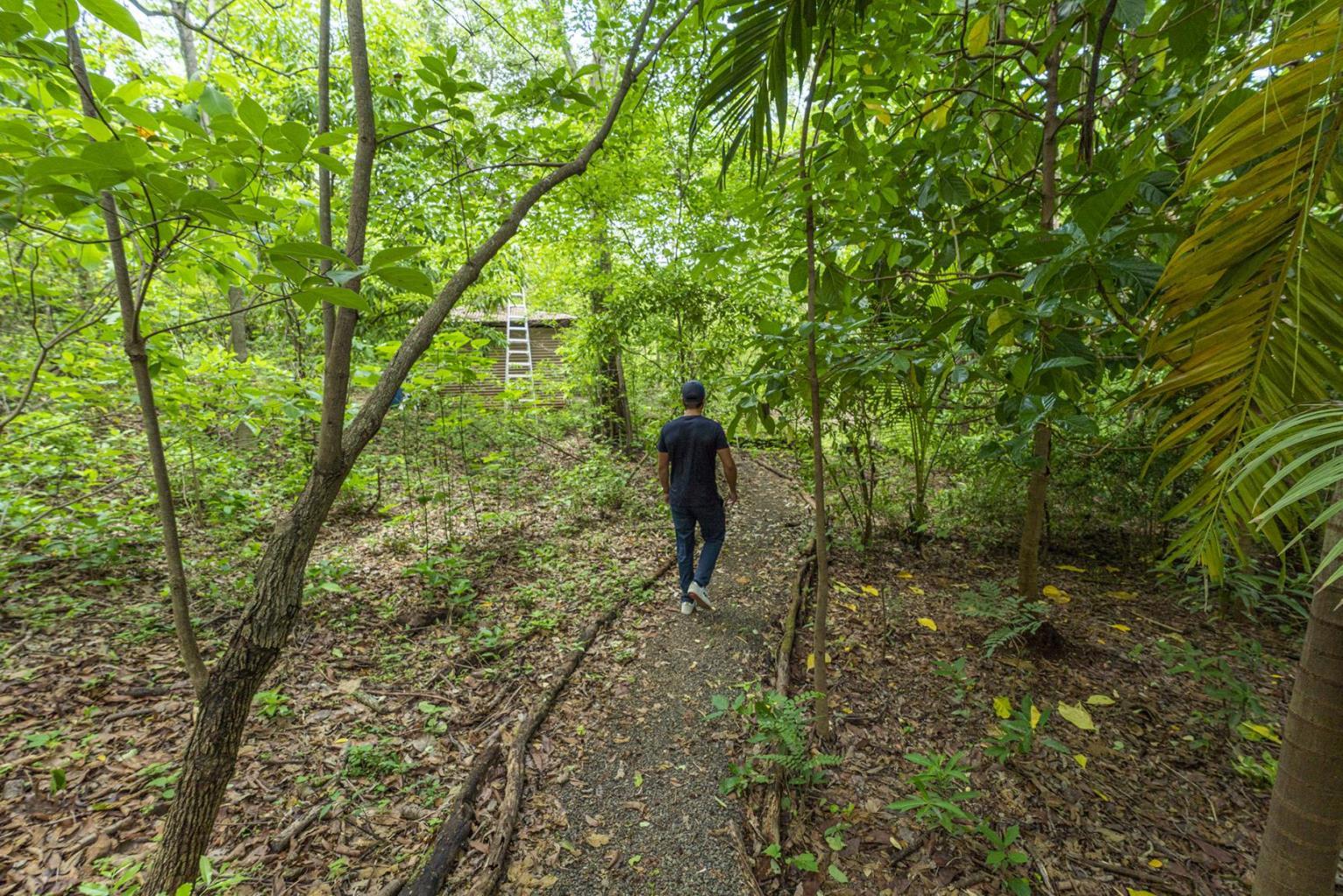 2 bed Single Family Homes For Sale in Tamarindo, Guanacaste - thumb 26