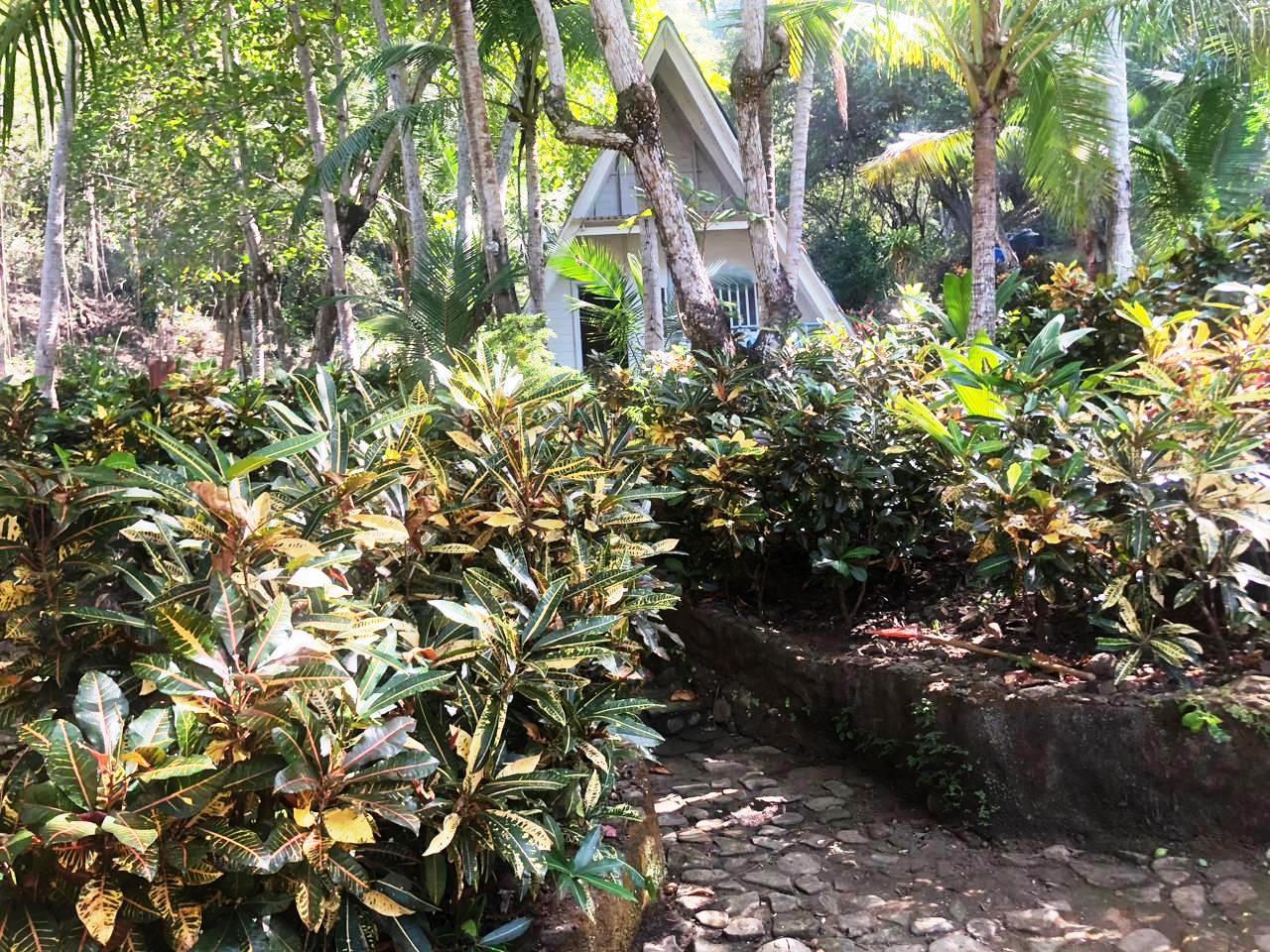 2 bed Single Family Homes For Sale in Paquera, Puntarenas - thumb 6