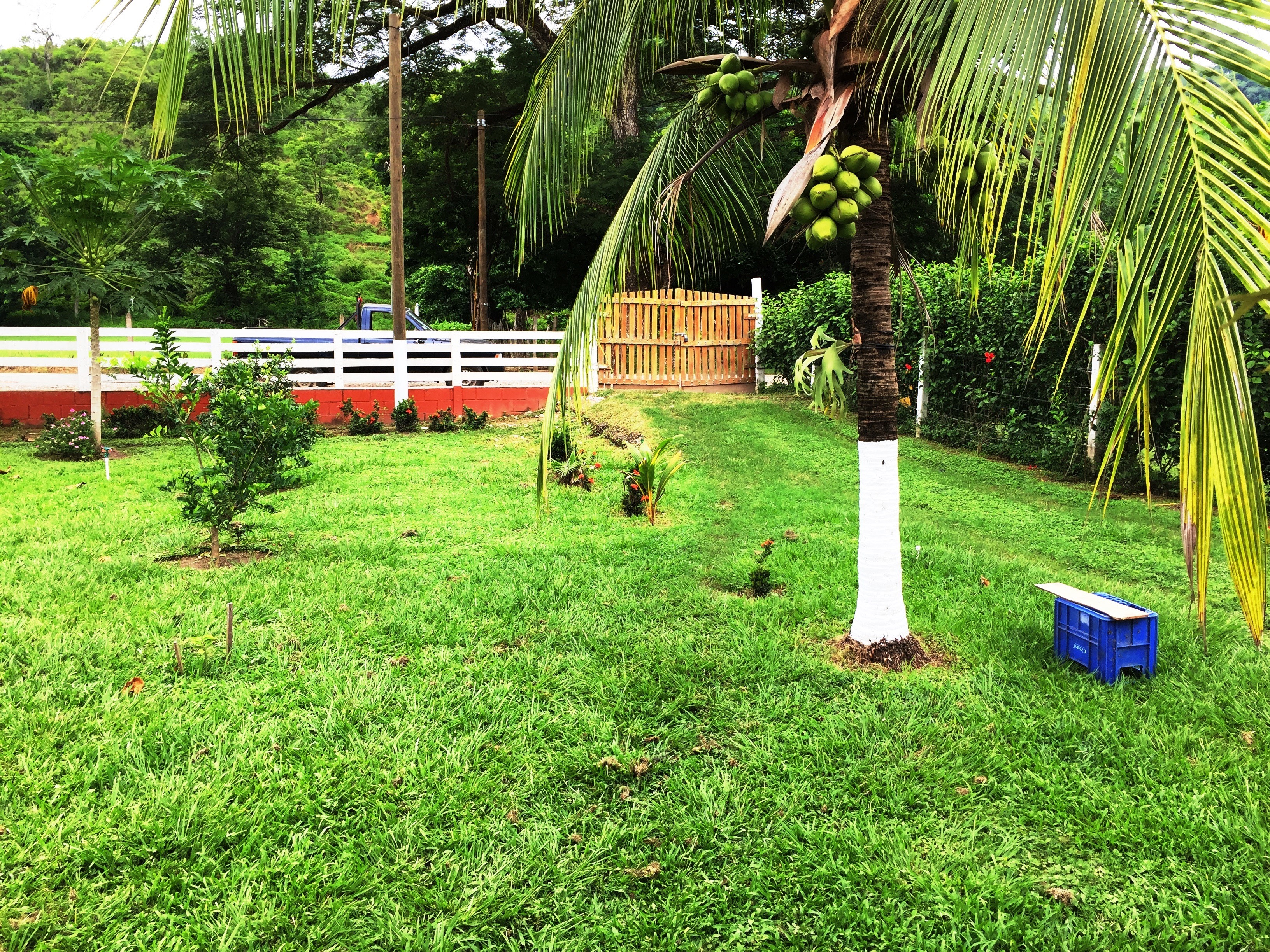 4 bed Single Family Homes For Sale in Paquera, Puntarenas - thumb 2