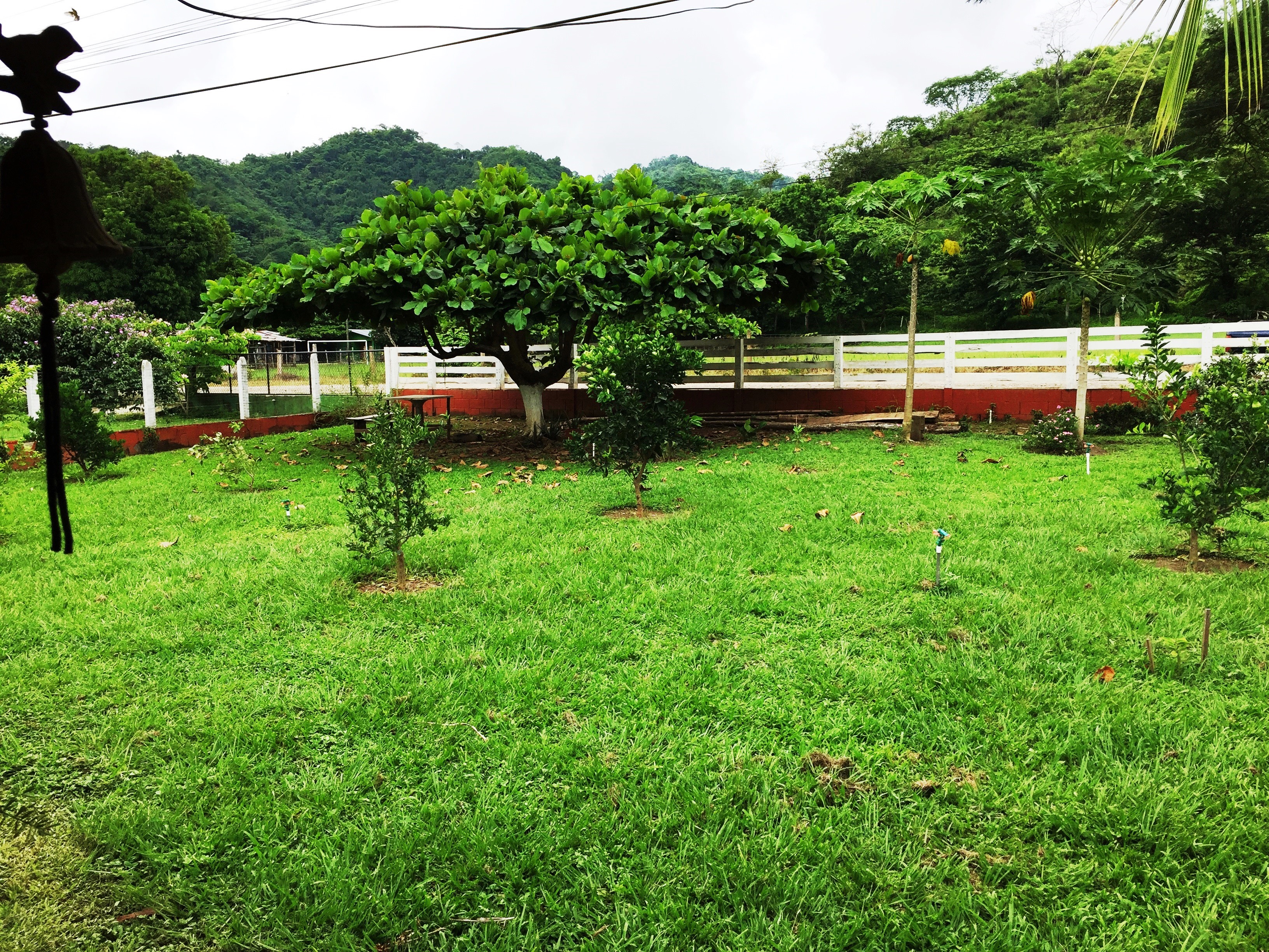 4 bed Single Family Homes For Sale in Paquera, Puntarenas - thumb 3
