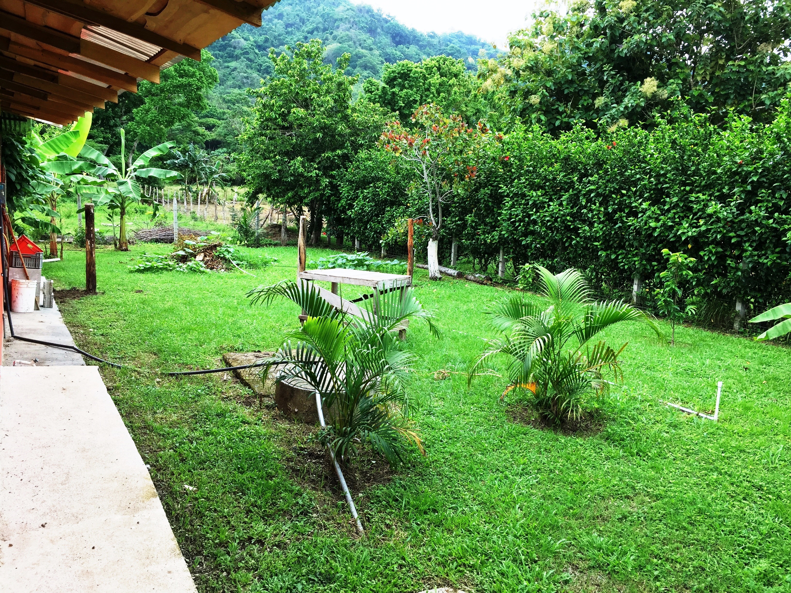 4 bed Single Family Homes For Sale in Paquera, Puntarenas - thumb 4