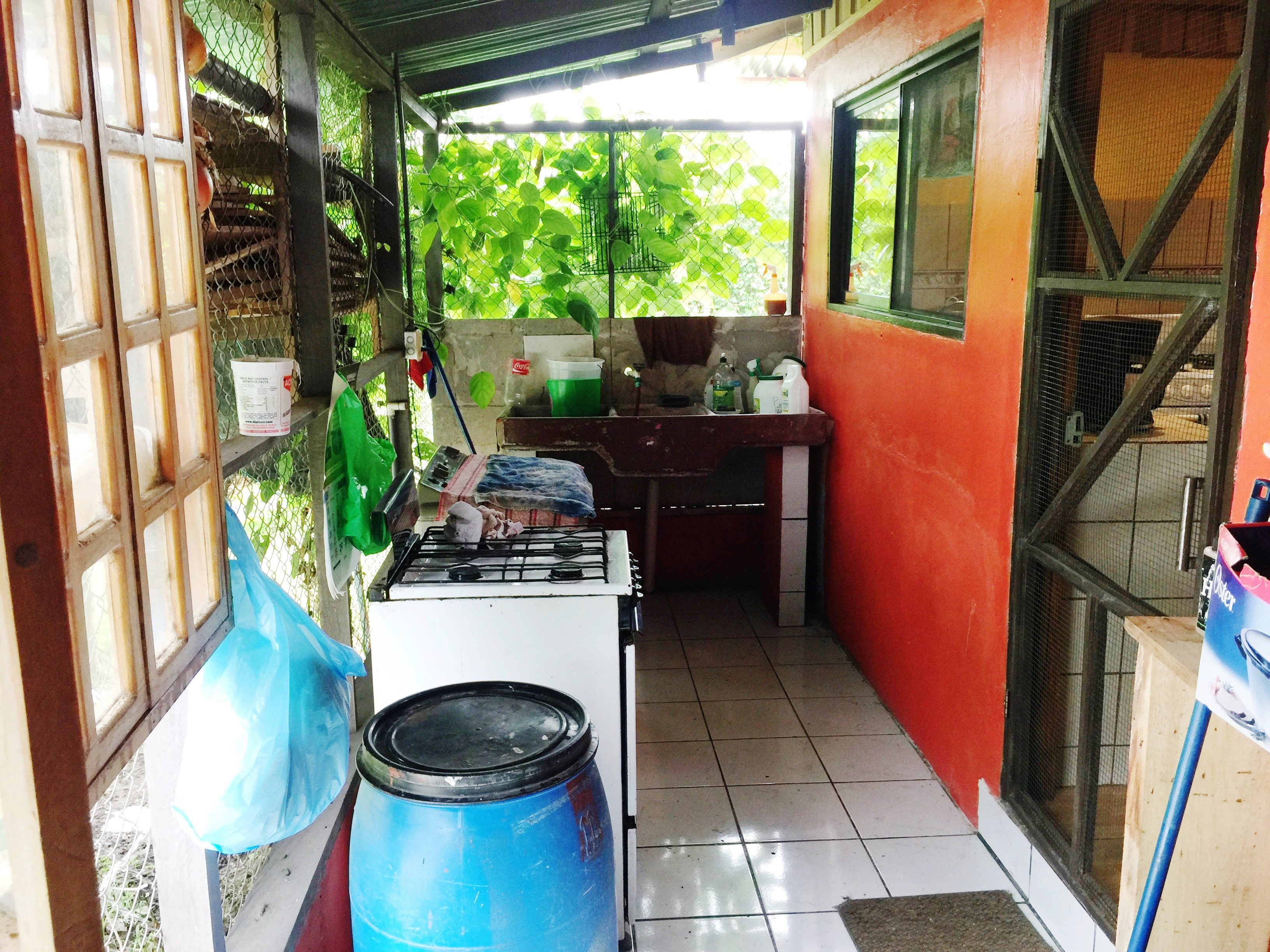 4 bed Single Family Homes For Sale in Paquera, Puntarenas - thumb 11