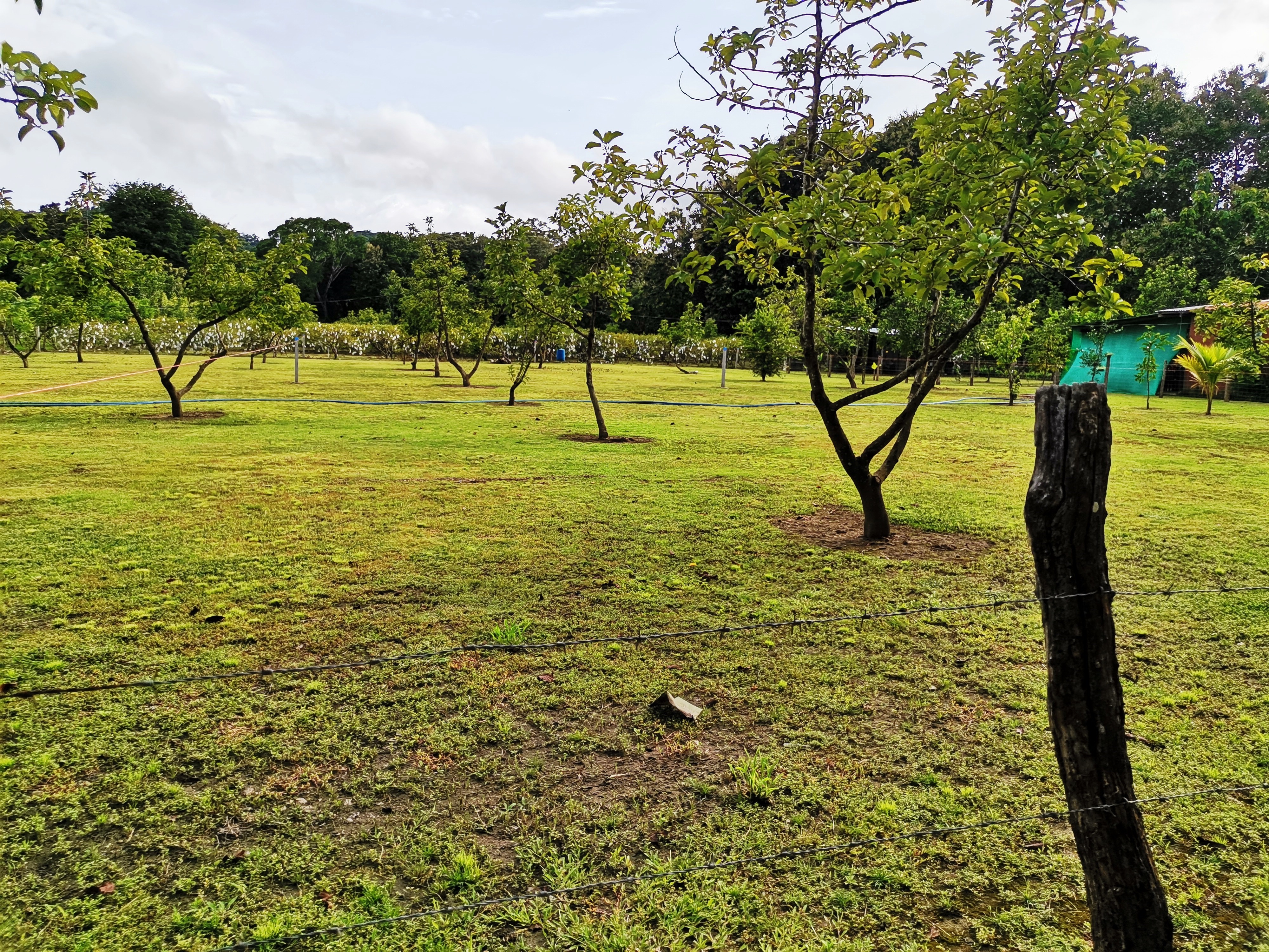 2 bed Single Family Homes For Sale in Paquera, Puntarenas - thumb 2