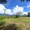  - 6 Acres - Stunning Sunset Ocean View. FInca Maranon. With Legal Water!