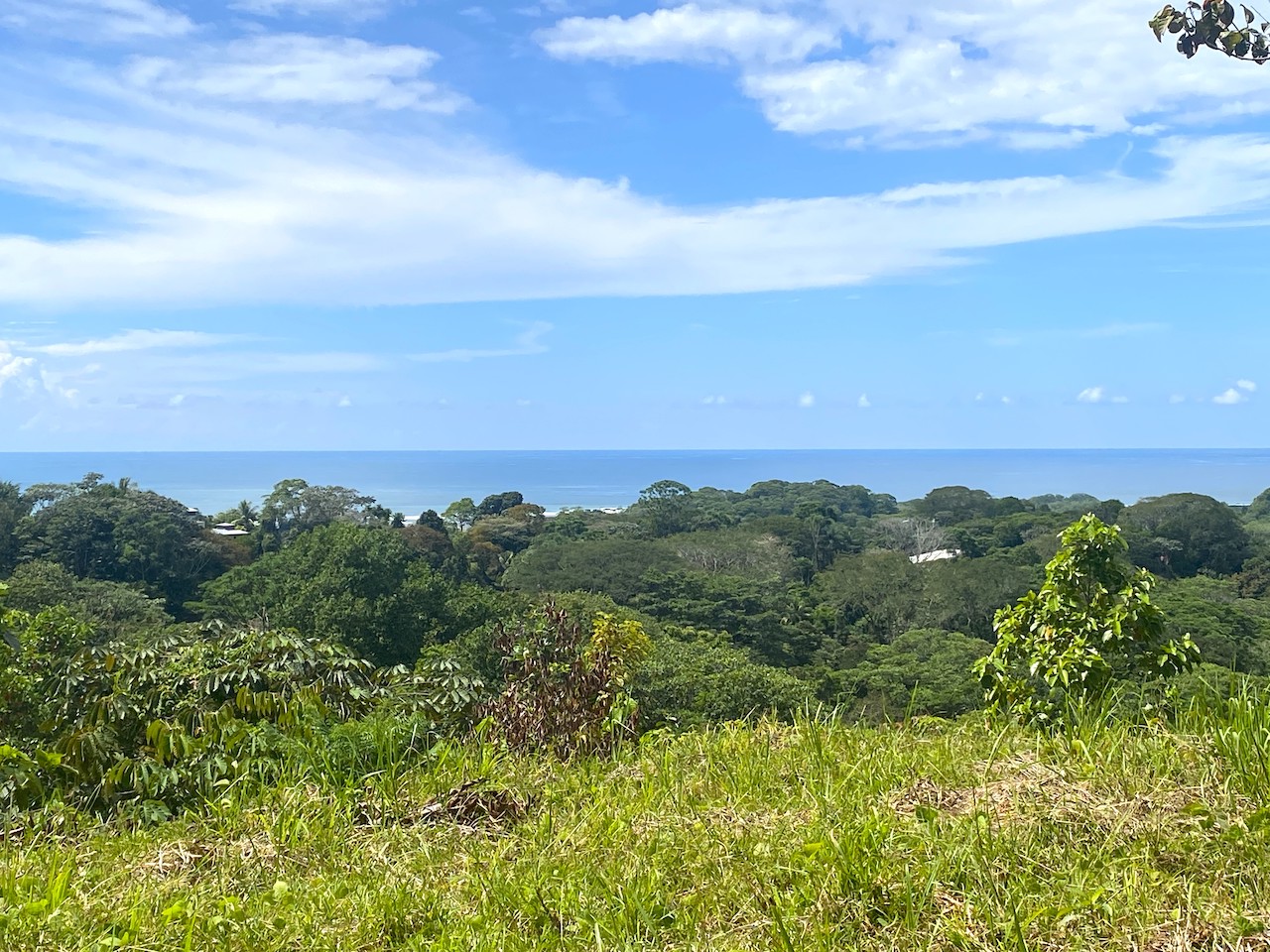 0 bed Land For Sale in Ojochal, Puntarenas - thumb 14