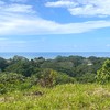  - 6 Acres - Stunning Sunset Ocean View. FInca Maranon. With Legal Water!