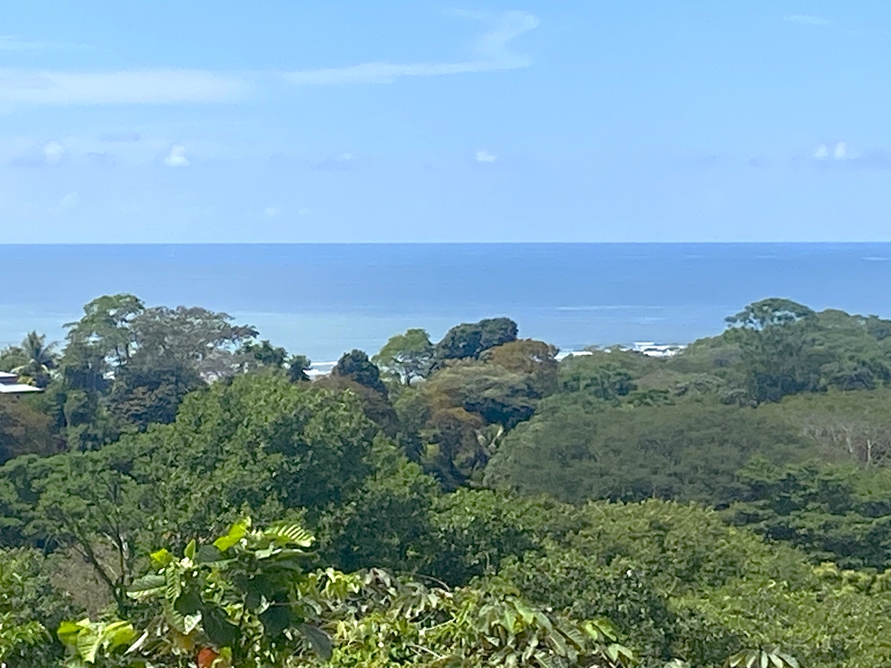 0 bed Land For Sale in Ojochal, Puntarenas - thumb 13