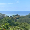  - 6 Acres - Stunning Sunset Ocean View. FInca Maranon. With Legal Water!