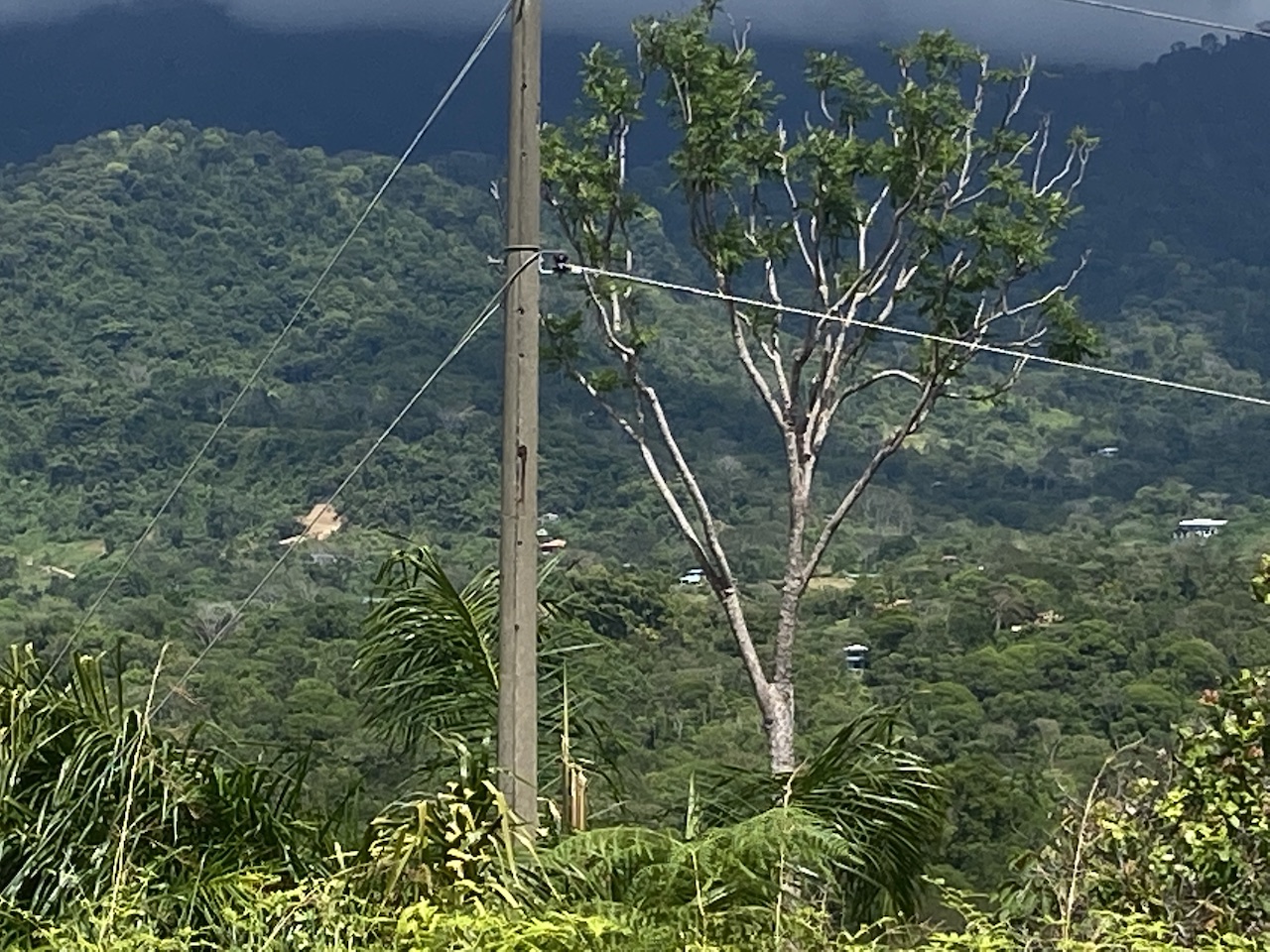 0 bed Land For Sale in Ojochal, Puntarenas - thumb 12