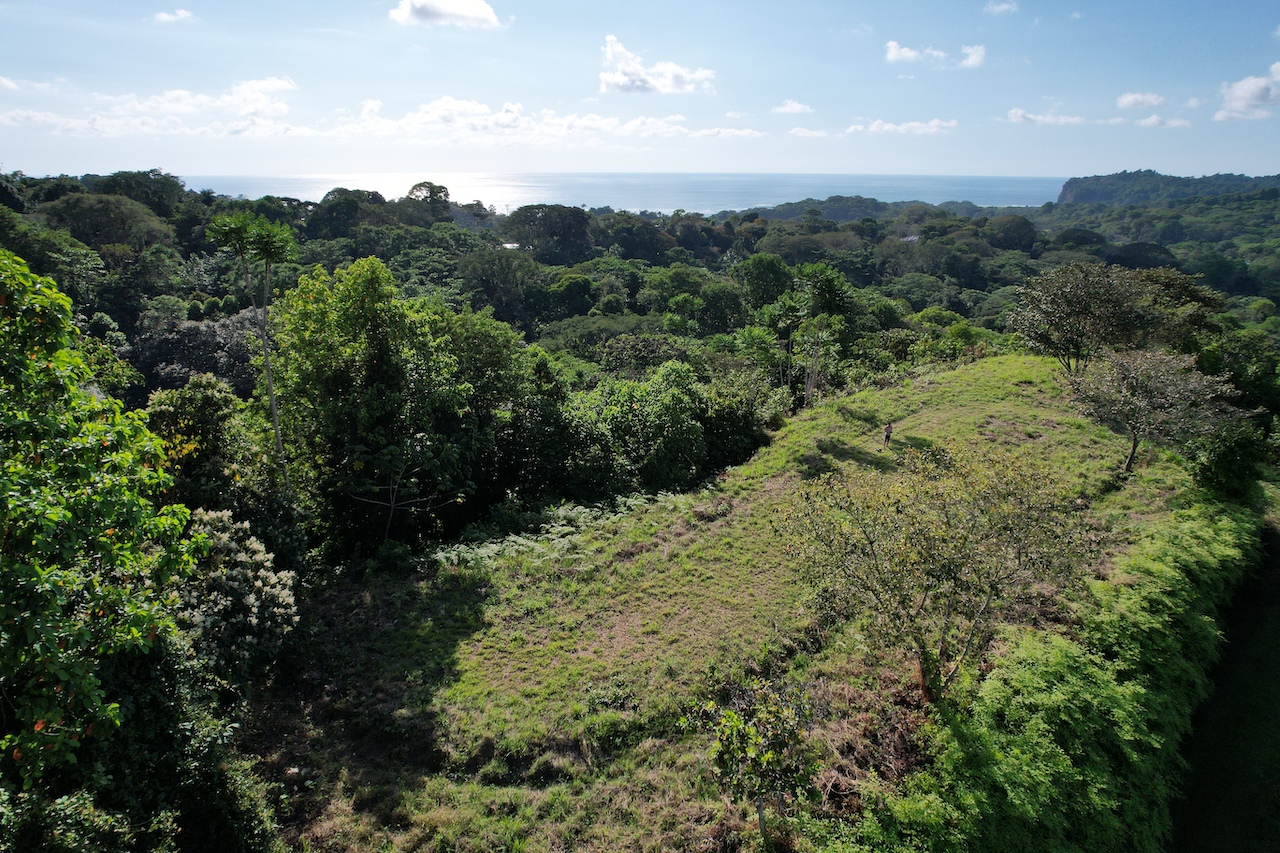 0 bed Land For Sale in Ojochal, Puntarenas - thumb 6
