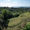  - 6 Acres - Stunning Sunset Ocean View. FInca Maranon. With Legal Water!