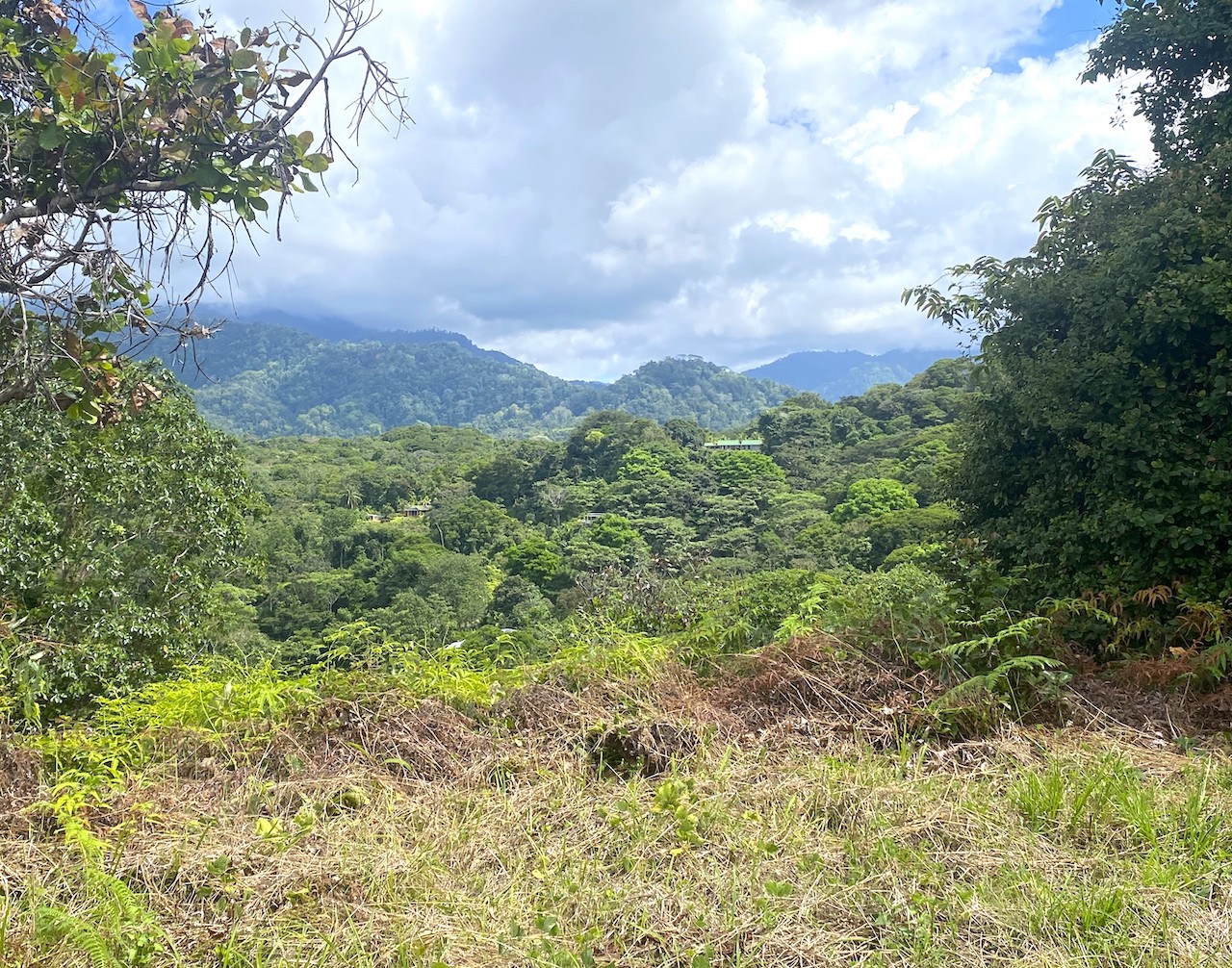 0 bed Land For Sale in Ojochal, Puntarenas - thumb 10