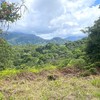  - 6 Acres - Stunning Sunset Ocean View. FInca Maranon. With Legal Water!