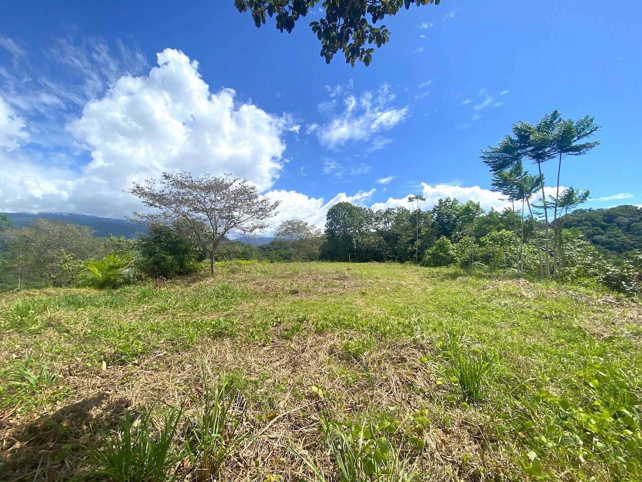 0 bed Land For Sale in Ojochal, Puntarenas - thumb 2
