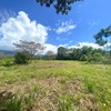  - 6 Acres - Stunning Sunset Ocean View. FInca Maranon. With Legal Water!