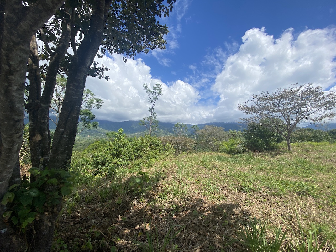 0 bed Land For Sale in Ojochal, Puntarenas - thumb 8