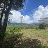  - 6 Acres - Stunning Sunset Ocean View. FInca Maranon. With Legal Water!