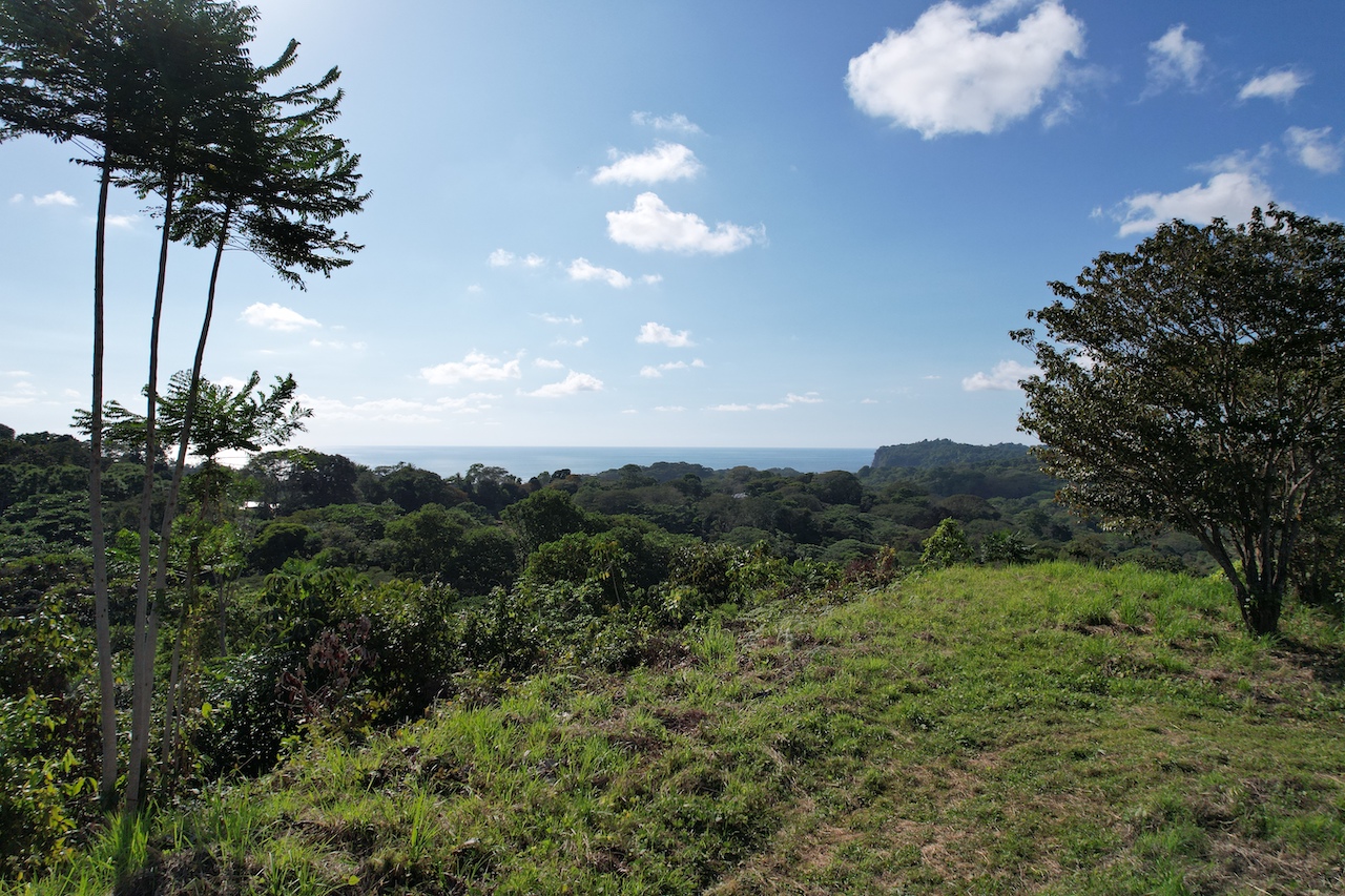 0 bed Land For Sale in Ojochal, Puntarenas - thumb 15