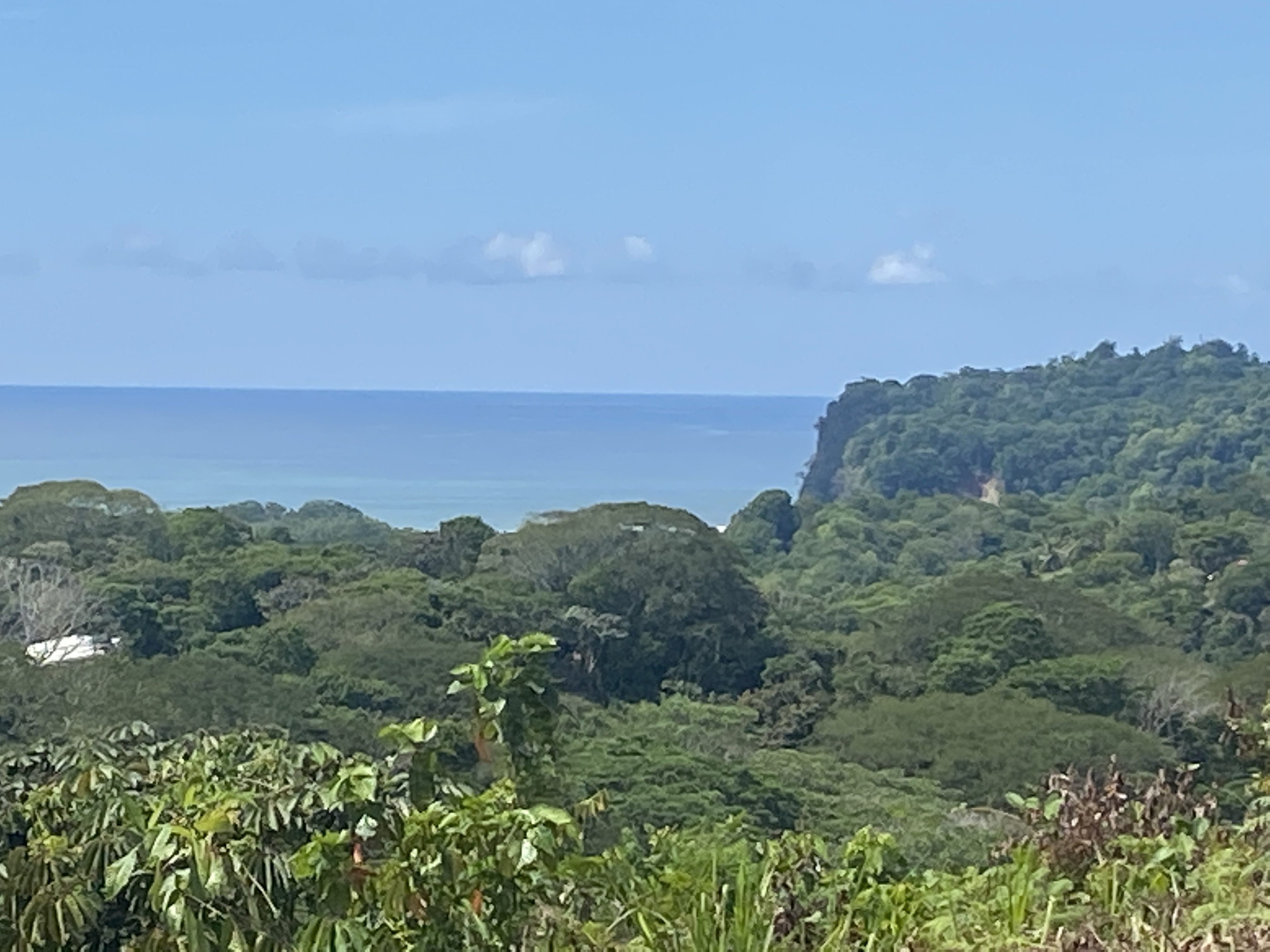 0 bed Land For Sale in Ojochal, Puntarenas - thumb 7