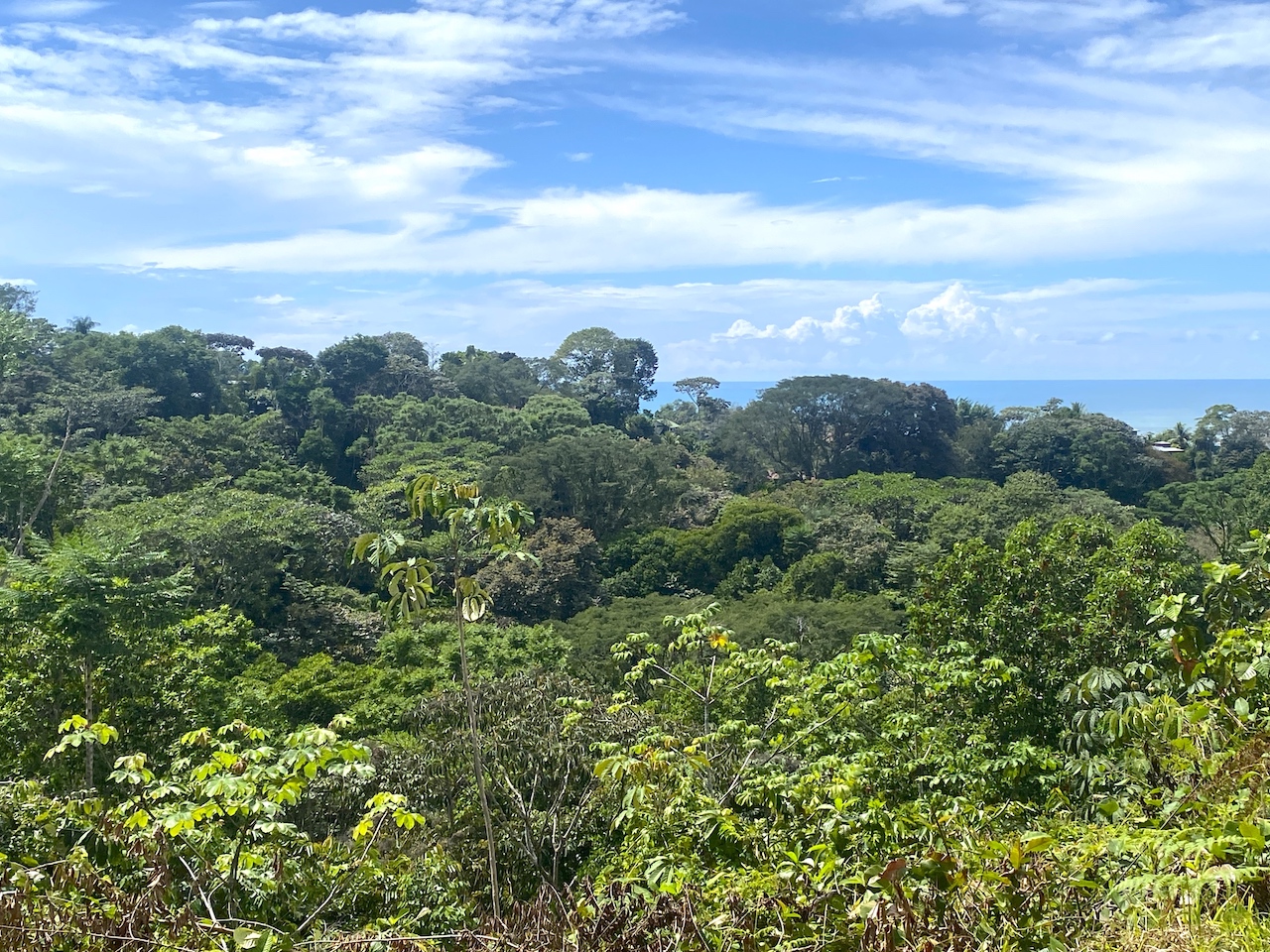 0 bed Land For Sale in Ojochal, Puntarenas - thumb 16