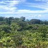  - 6 Acres - Stunning Sunset Ocean View. FInca Maranon. With Legal Water!