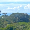  - 6 Acres - Stunning Sunset Ocean View. FInca Maranon. With Legal Water!