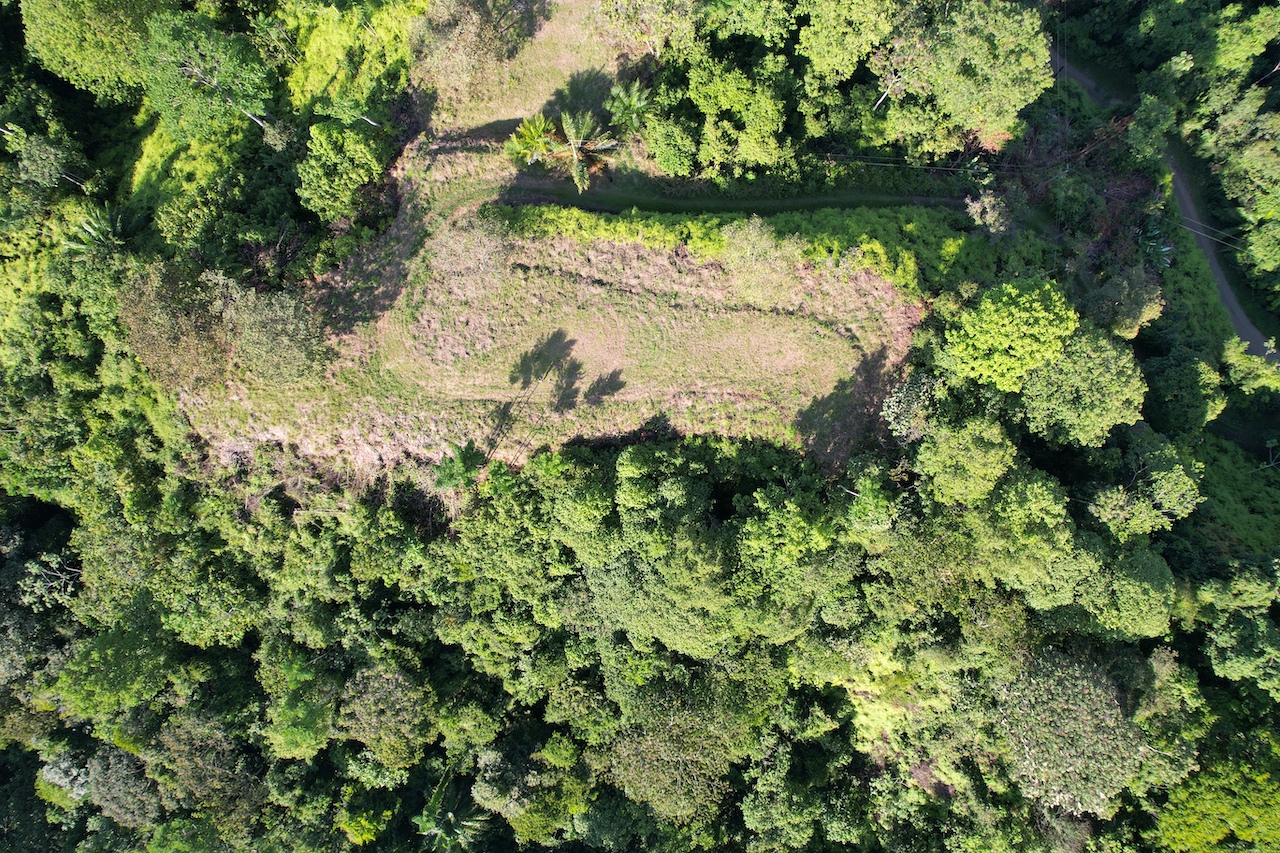 0 bed Land For Sale in Ojochal, Puntarenas - thumb 17