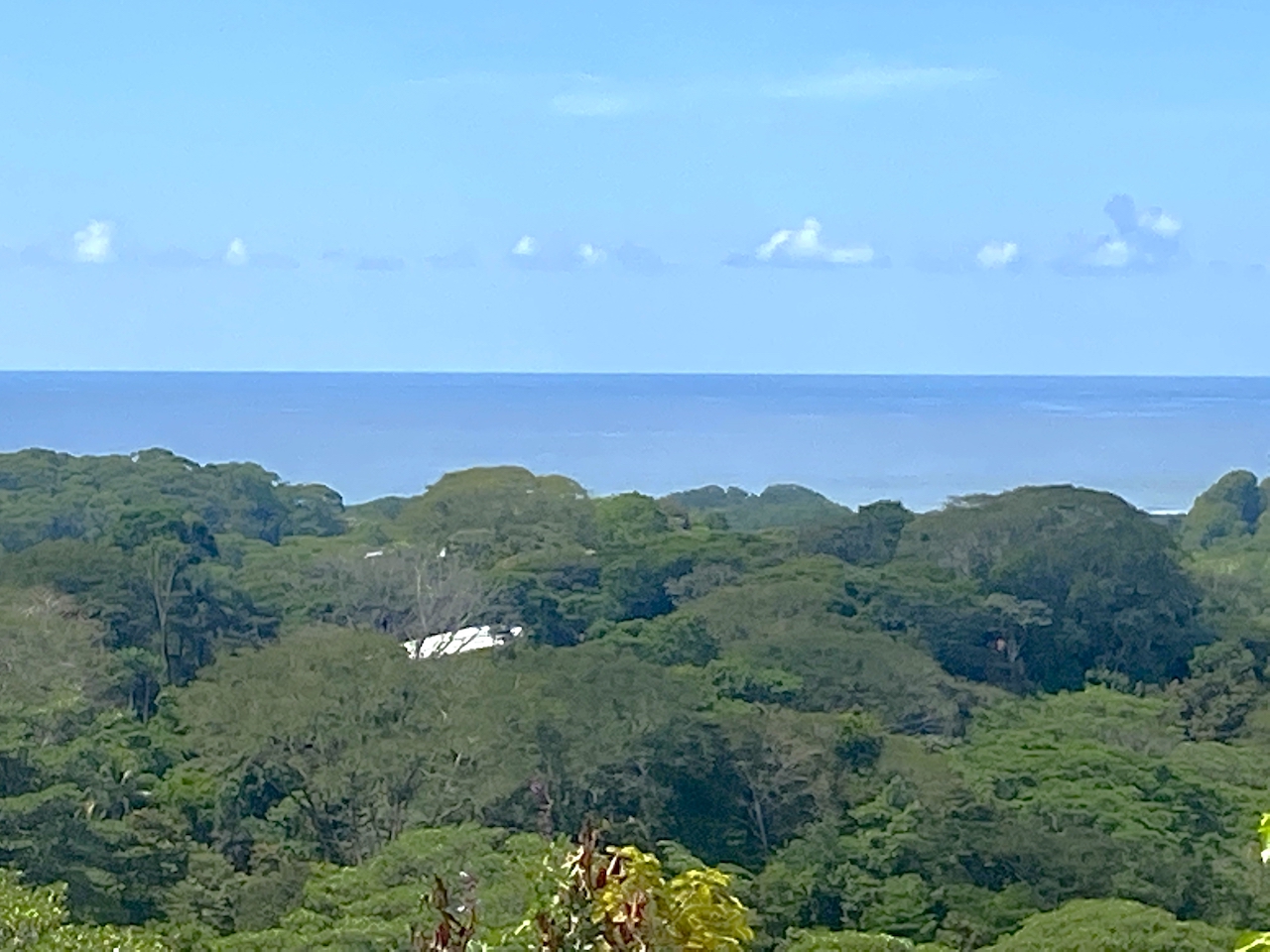 0 bed Land For Sale in Ojochal, Puntarenas - thumb 9