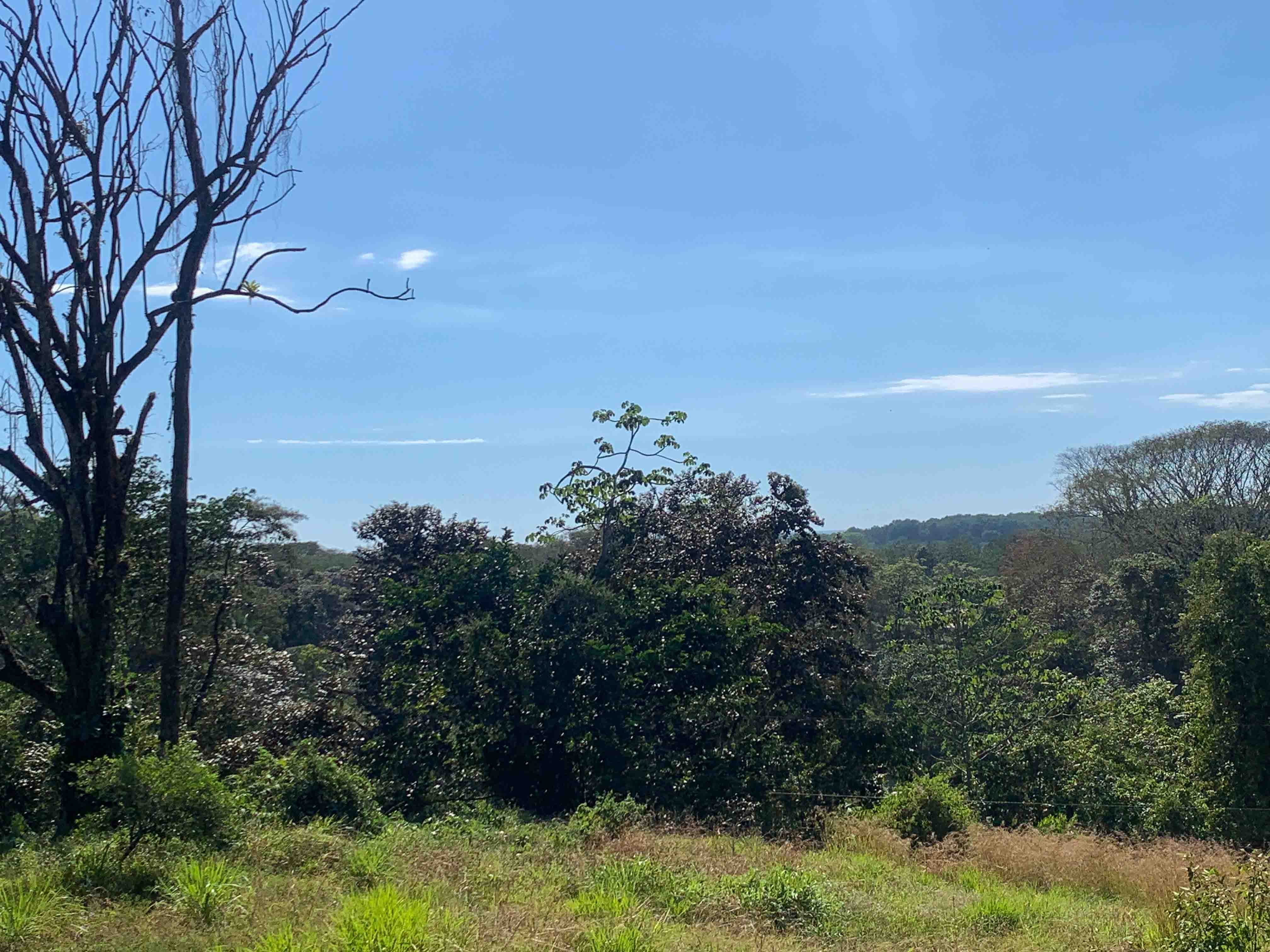 0 bed Land For Sale in Savegre, Puntarenas - thumb 5