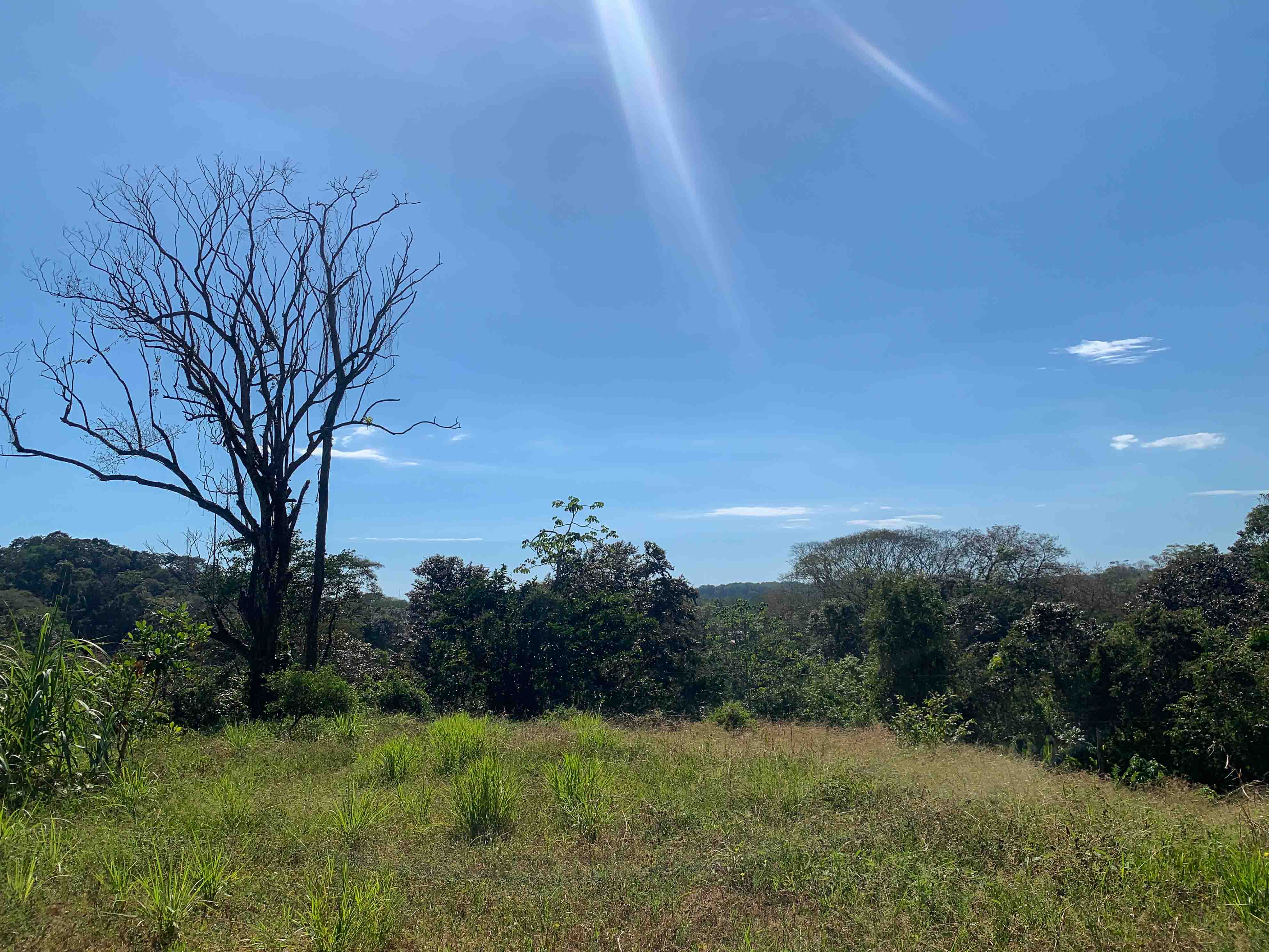0 bed Land For Sale in Savegre, Puntarenas - thumb 3