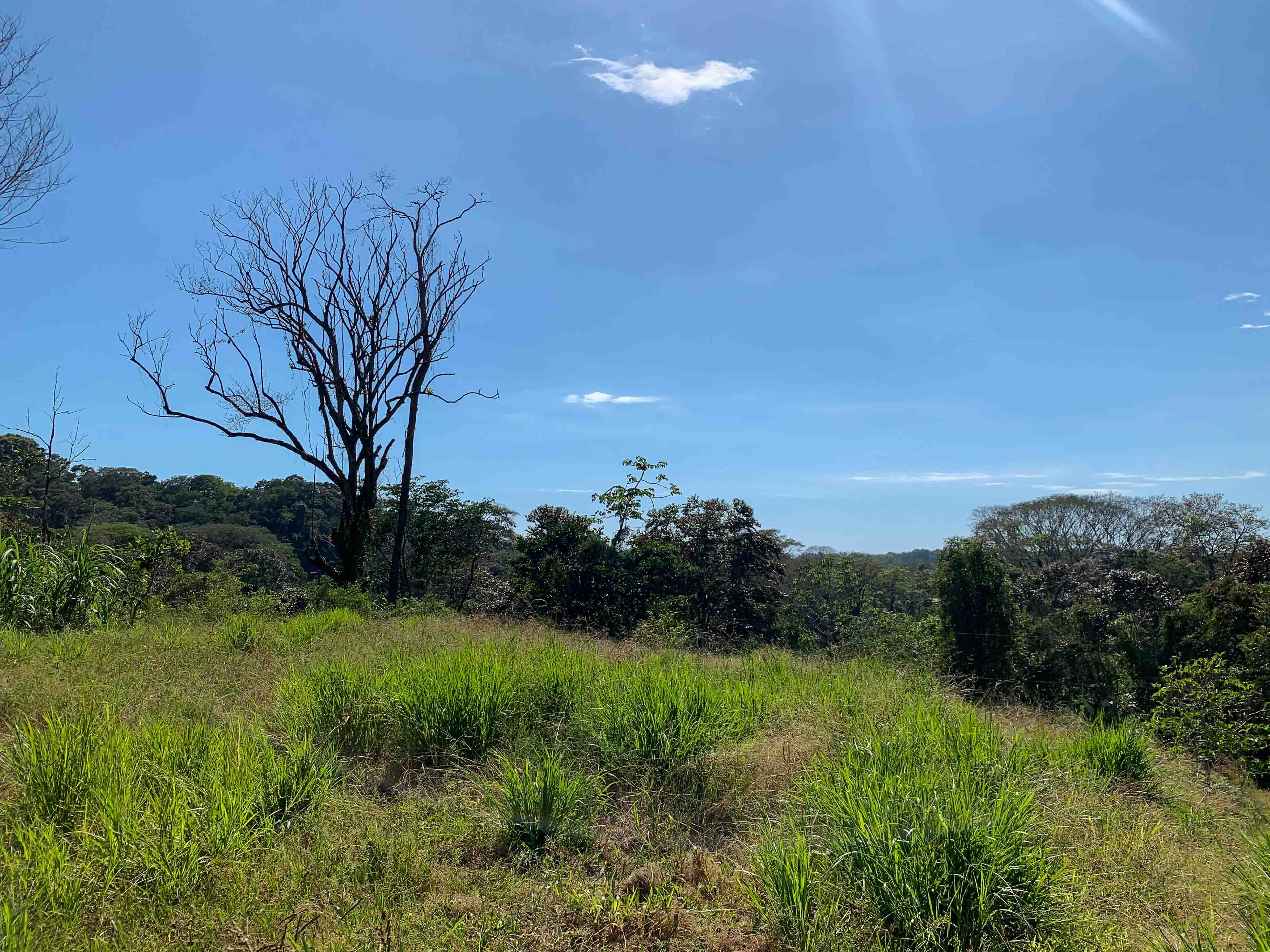 0 bed Land For Sale in Savegre, Puntarenas - thumb 1